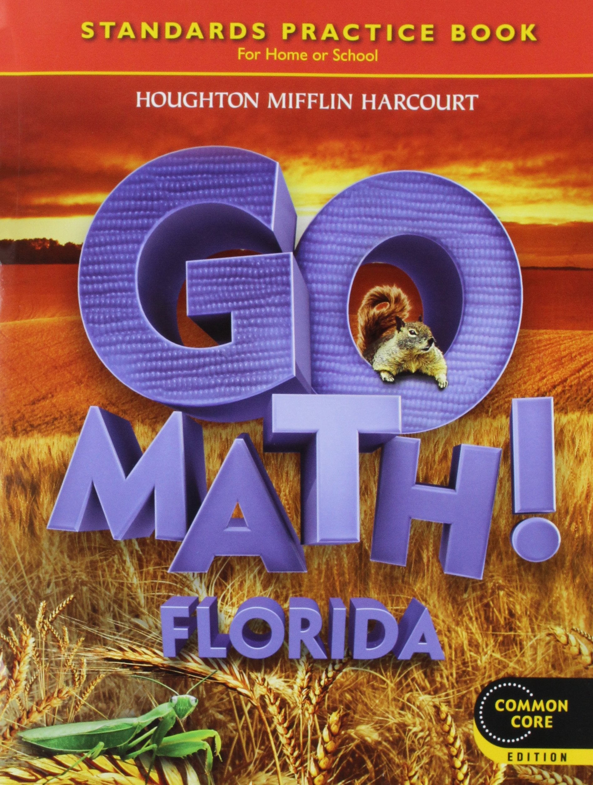 Houghton Mifflin Harcourt Go Math Florida: Practice Book Grade 2 Learning & Reference