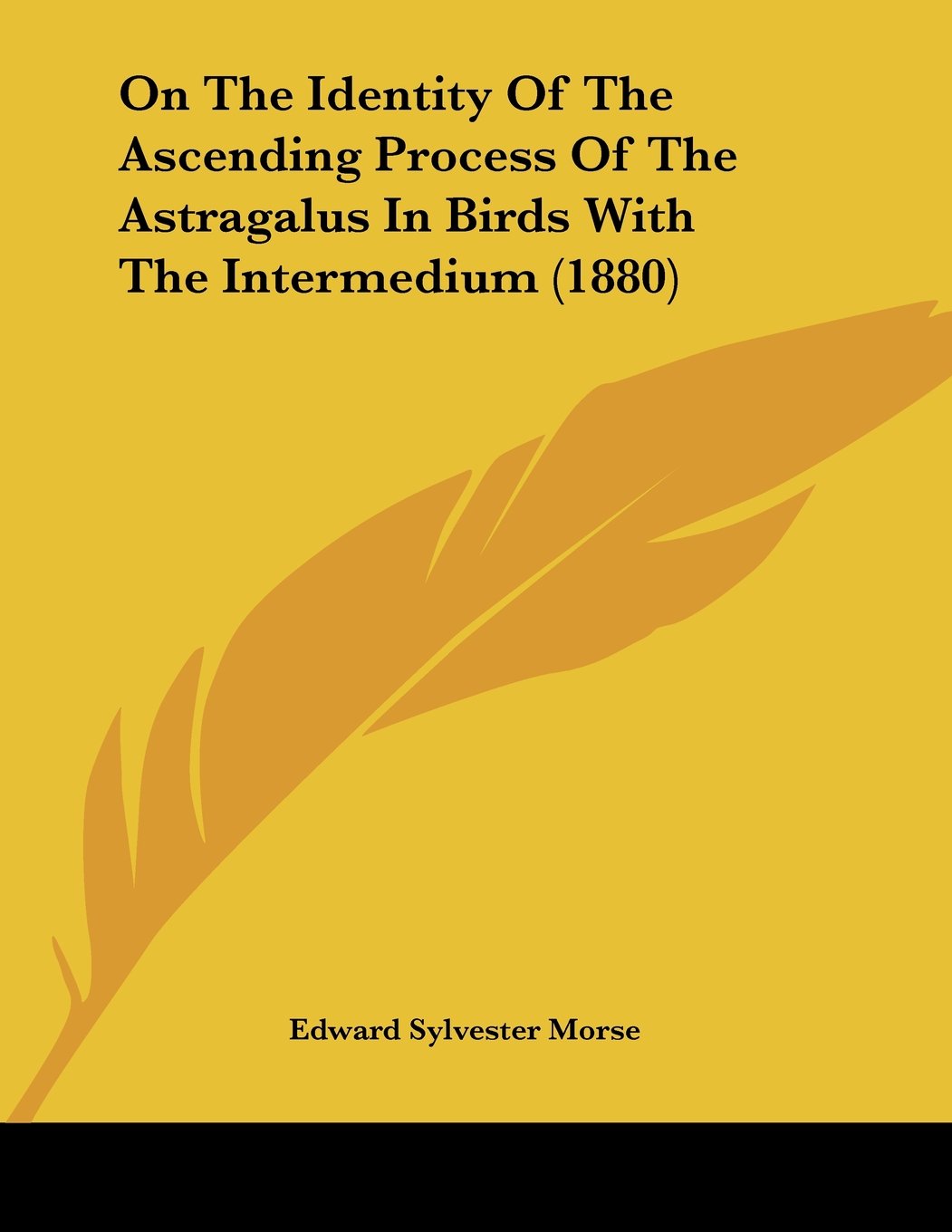 On The Identity Of The Ascending Process Of The Astragalus In Birds With The Intermedium Books