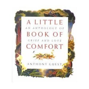 A Little Book of Comfort book