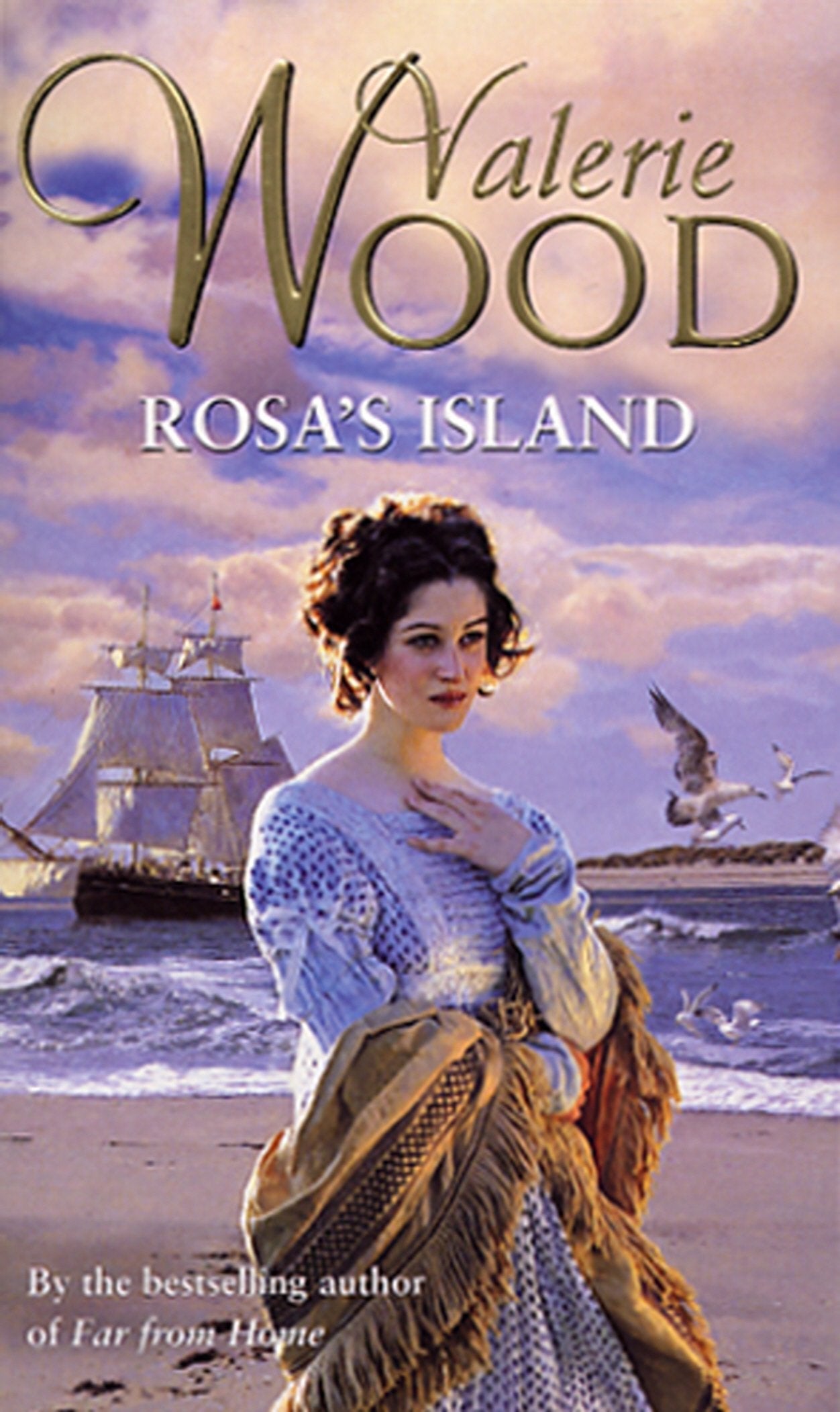 Rosa's Island Contemporary literature Books