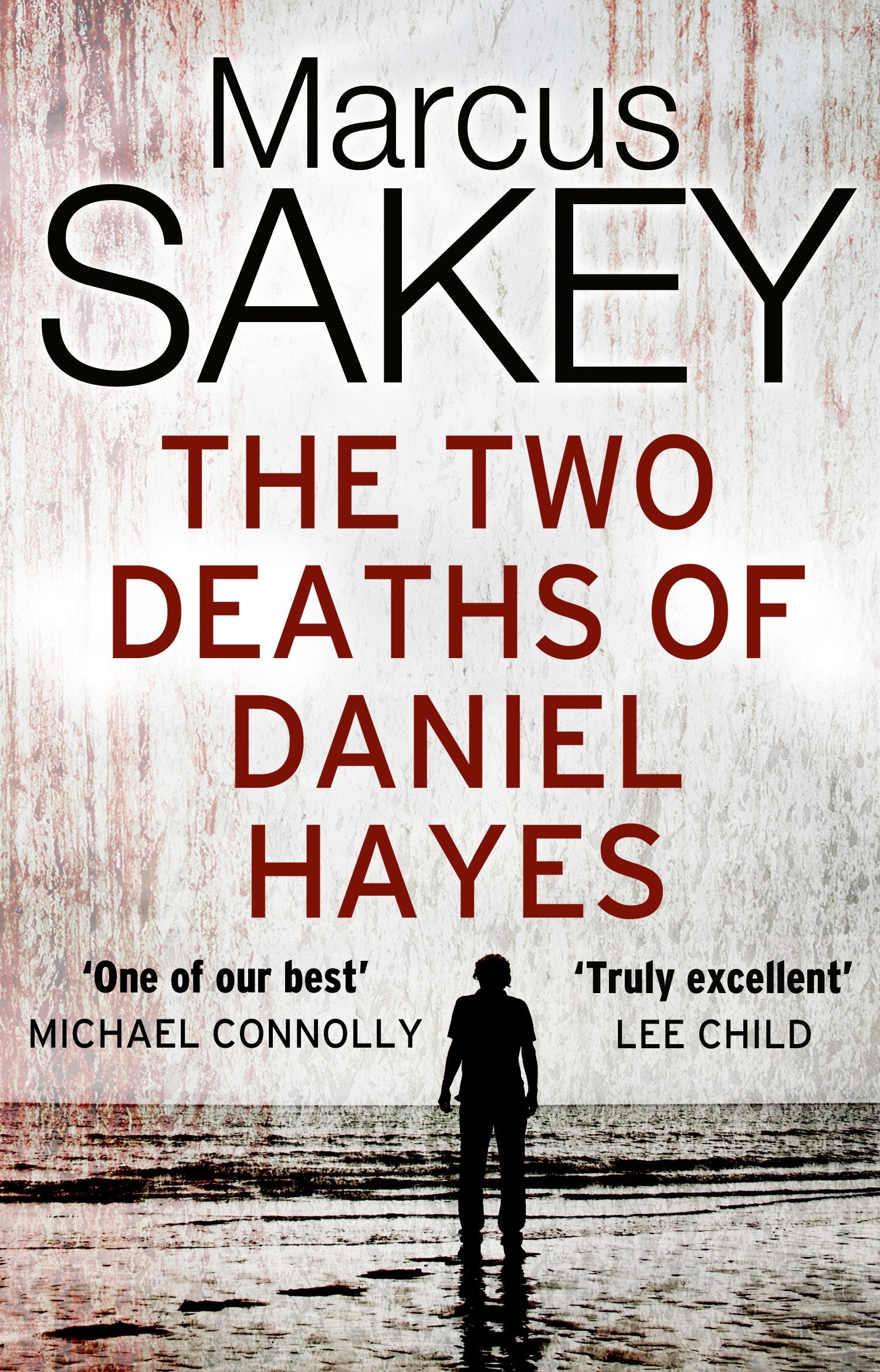 Sakey, M: The Two Deaths of Daniel Hayes Action & Adventure