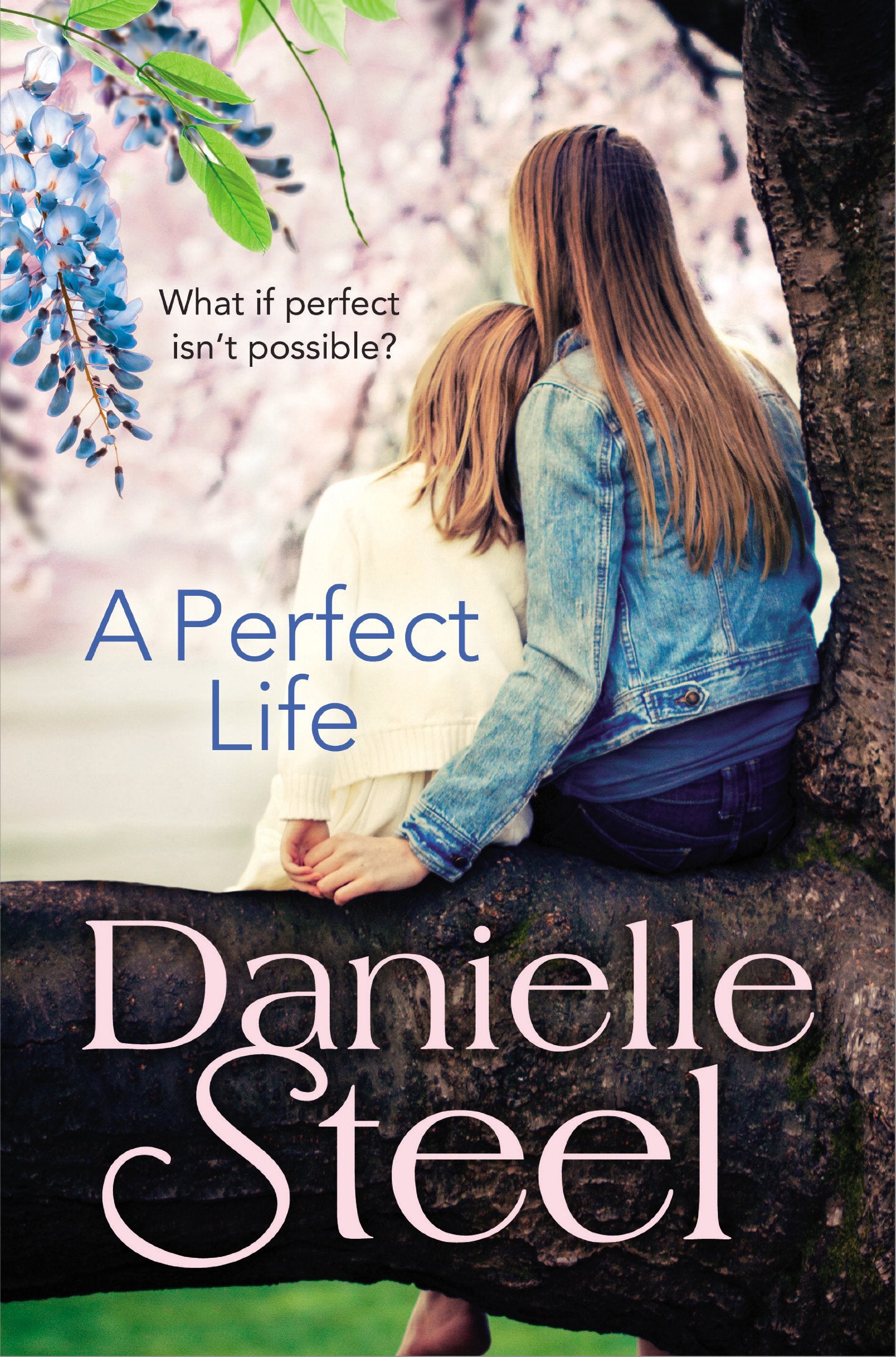 A Perfect Life Contemporary literature Books
