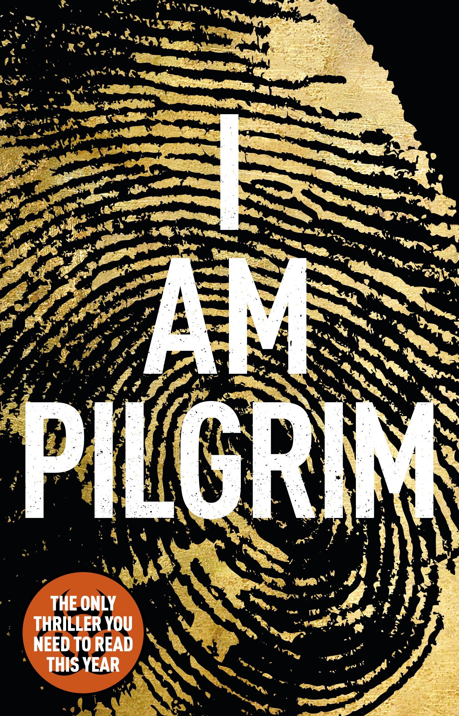 I Am Pilgrim Contemporary literature Books