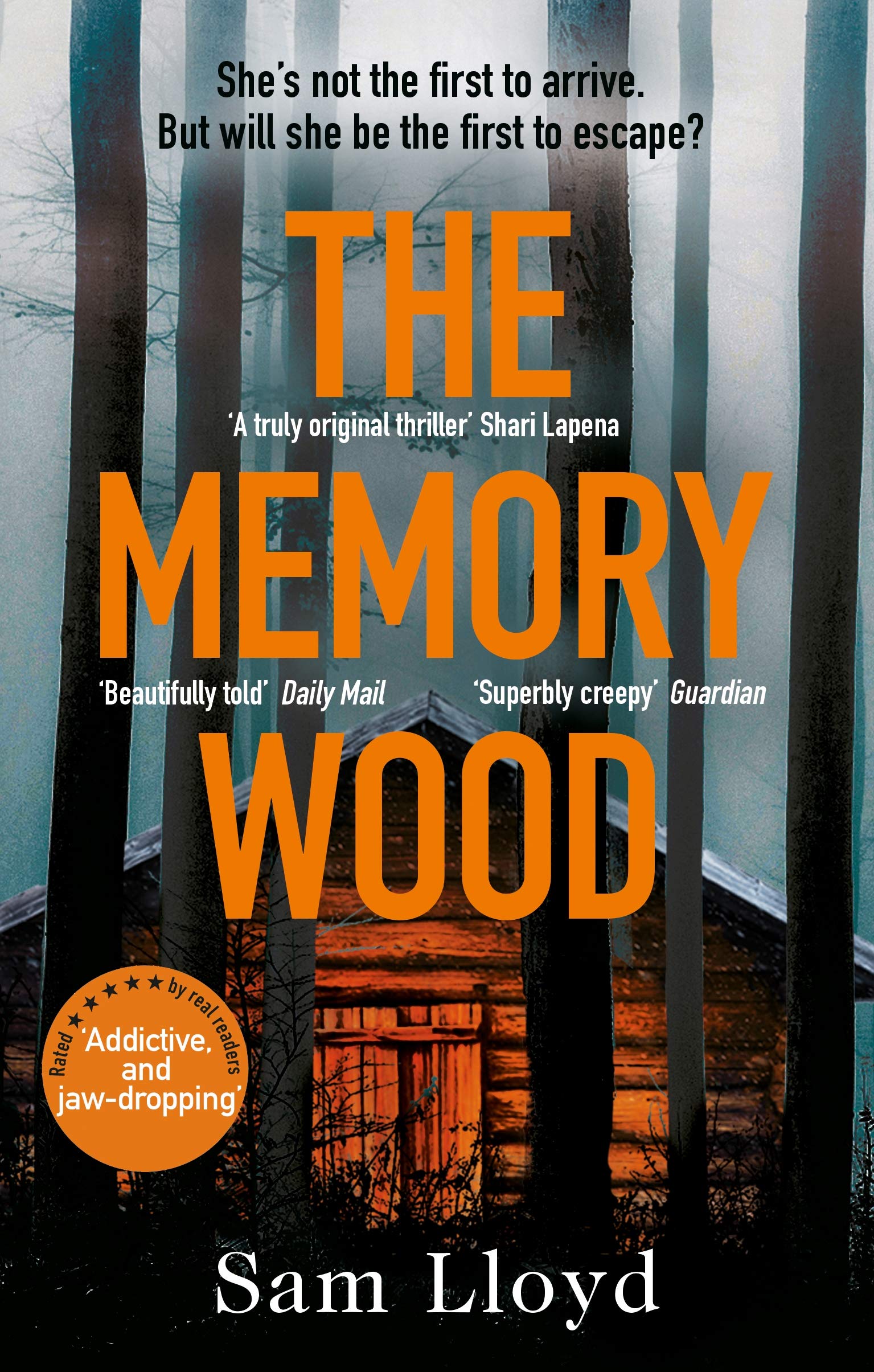 The Memory Wood Contemporary literature Books