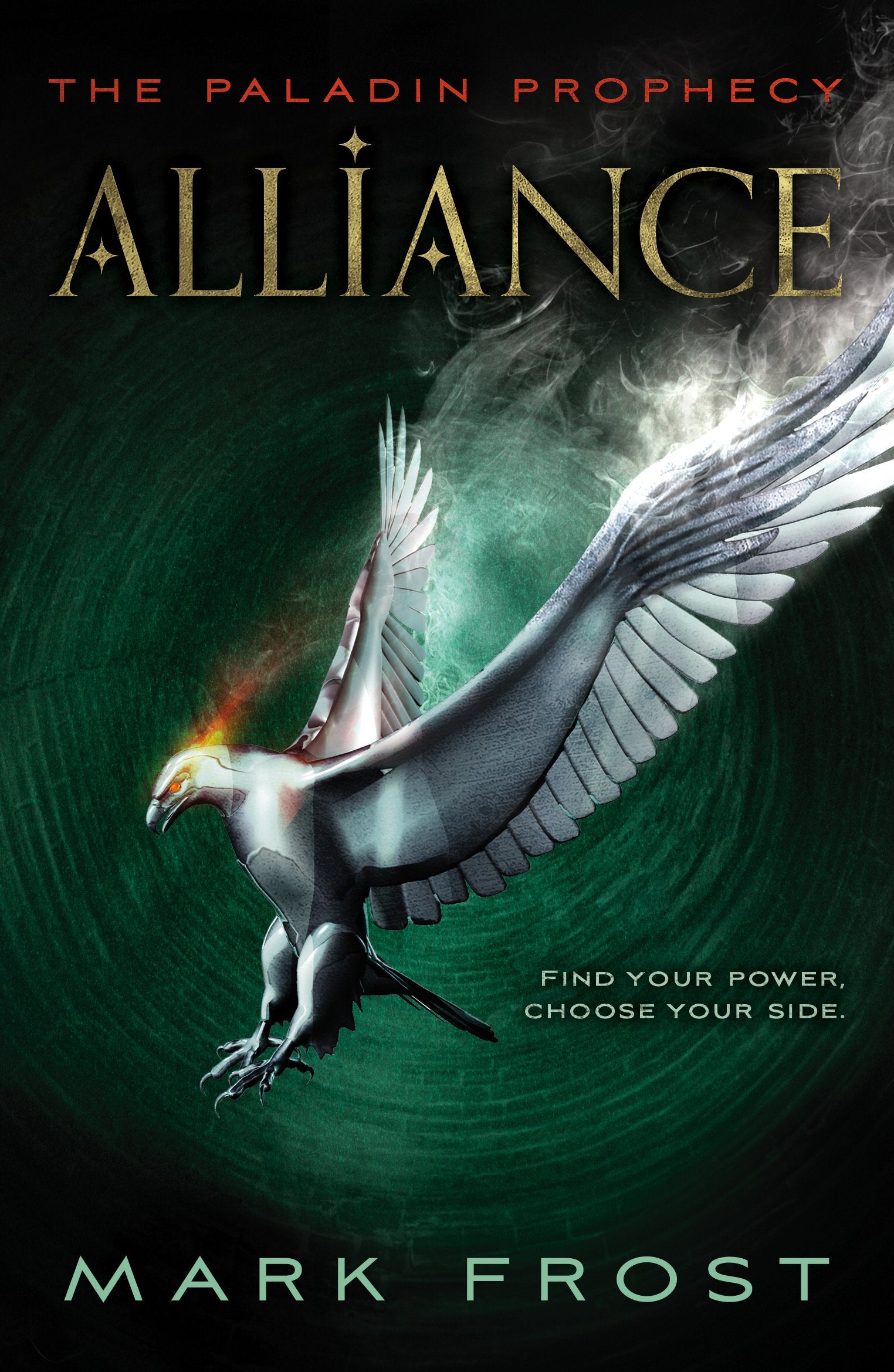 Product Image: The Paladin Prophecy
