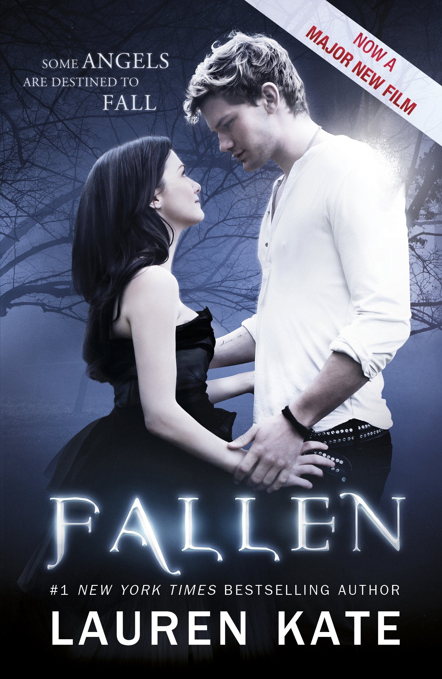 Fallen: Book 1 of the Fallen Series (Fallen, 1) Fiction