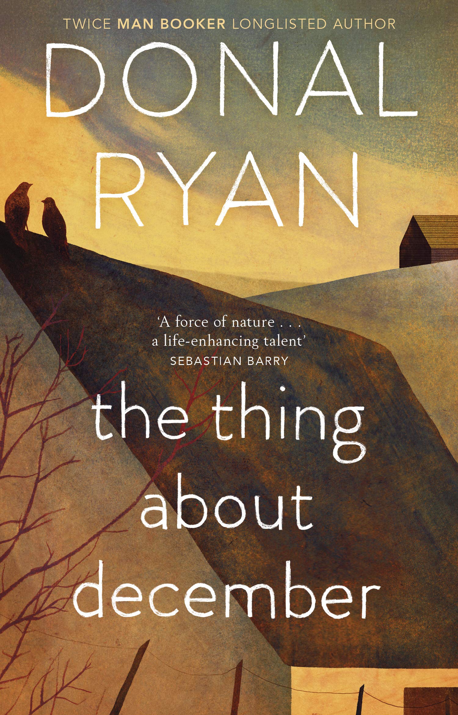 The Thing About December Contemporary literature Books