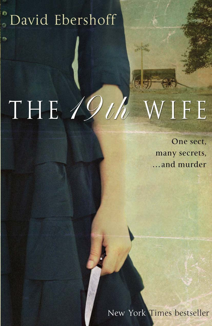 The 19th Wife Contemporary literature Books