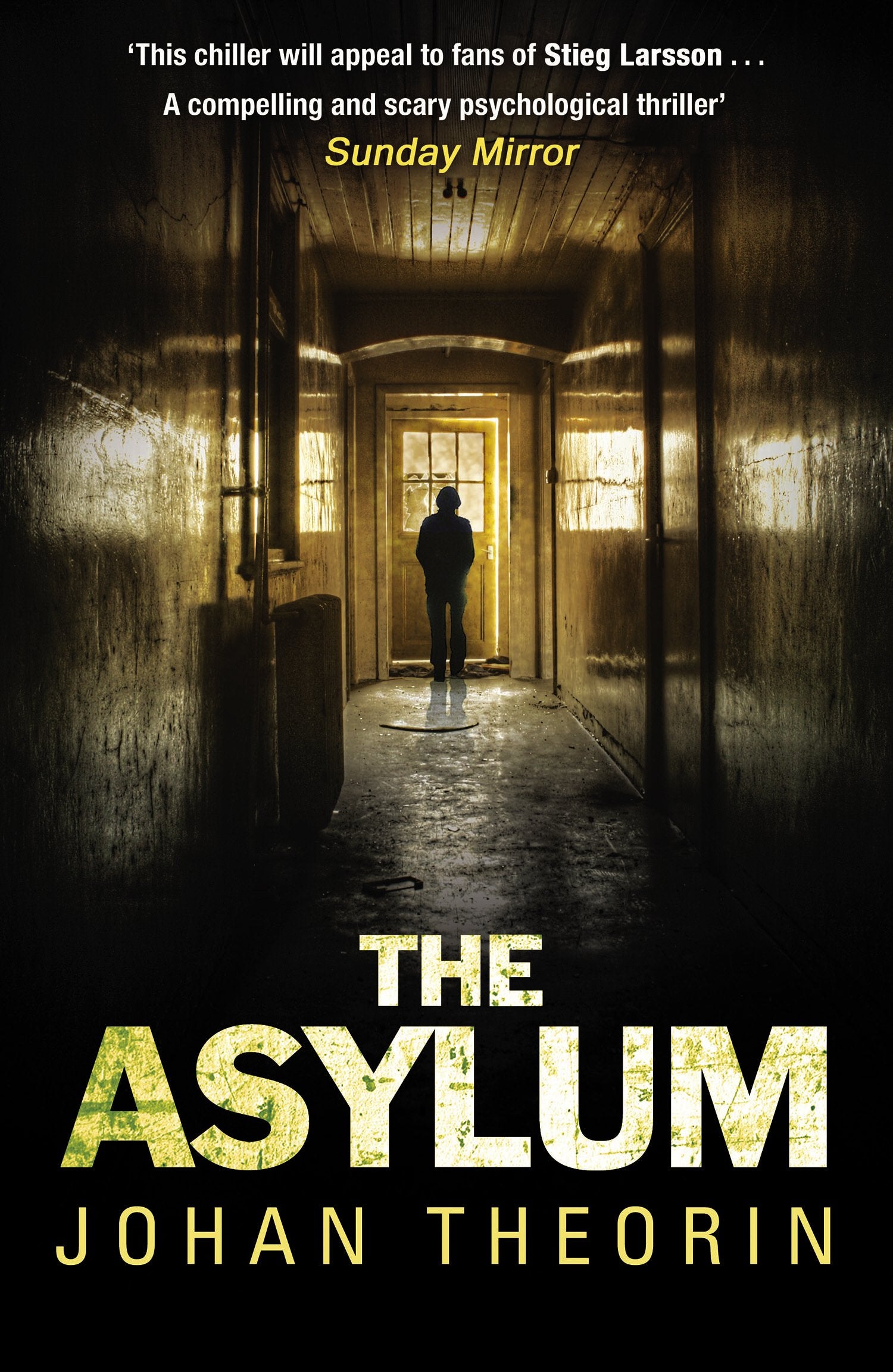 The Asylum Contemporary literature Books