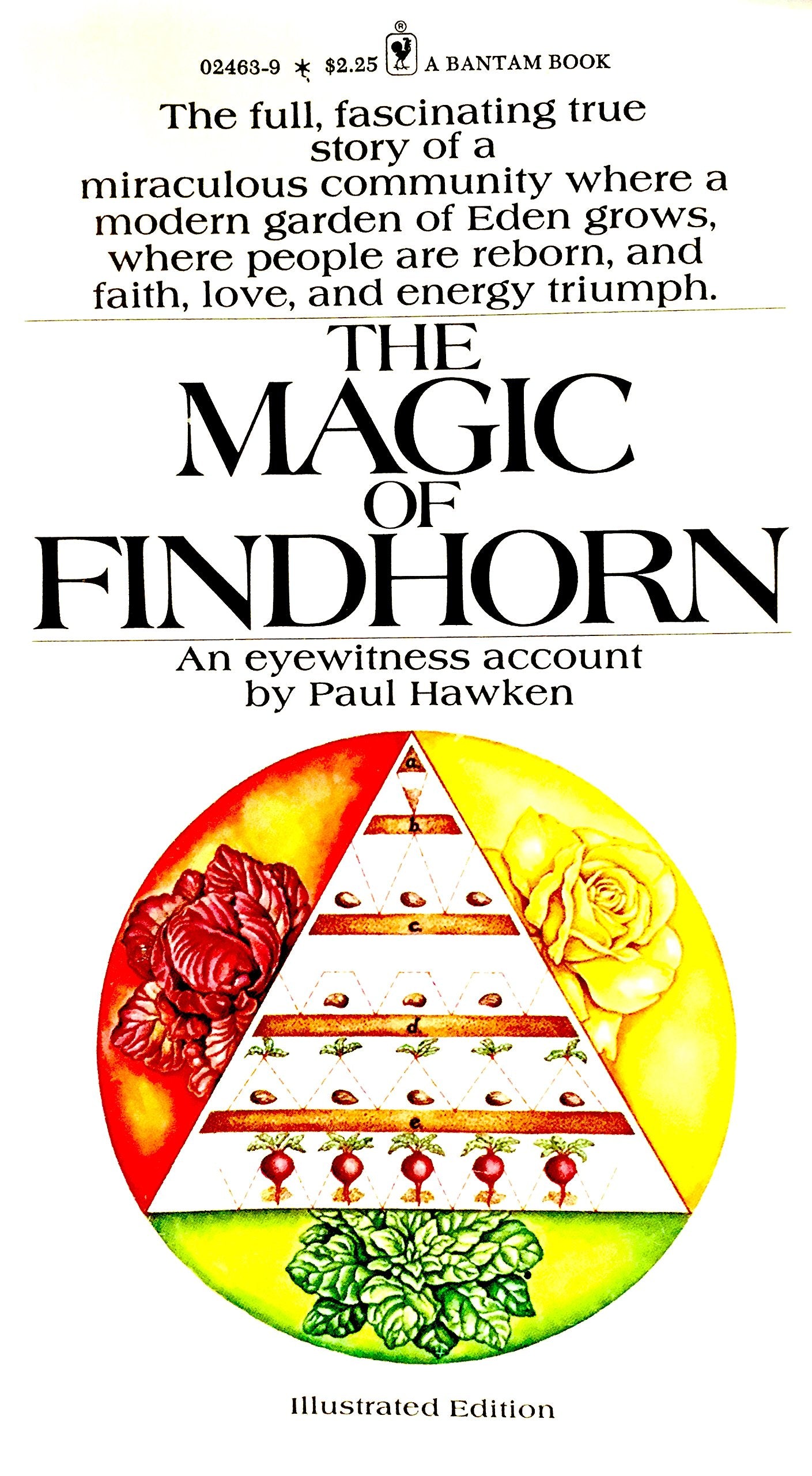 The magic of Findhorn (A Bantam Book) Books