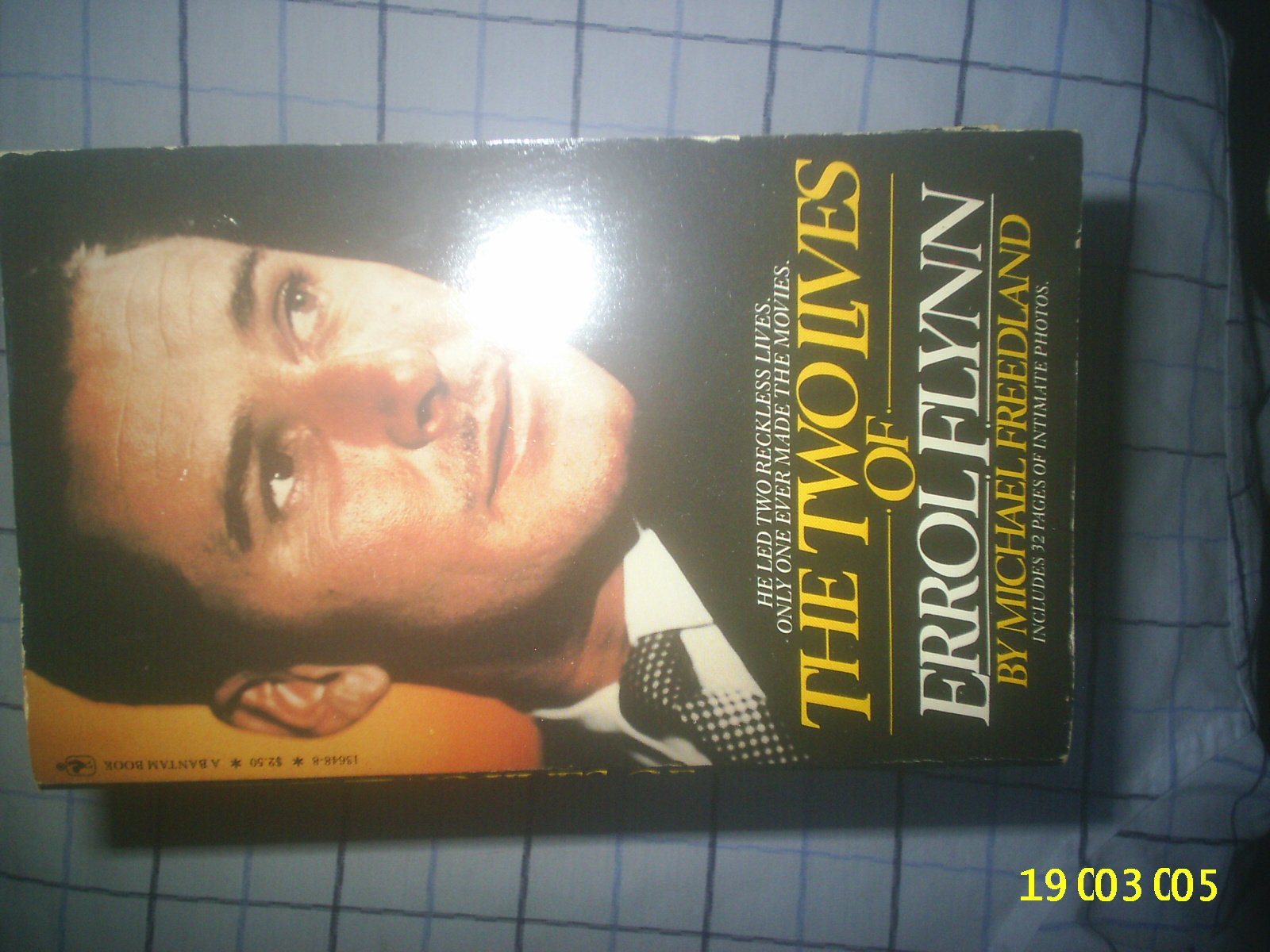 Two Lives of Errol Lynn Books