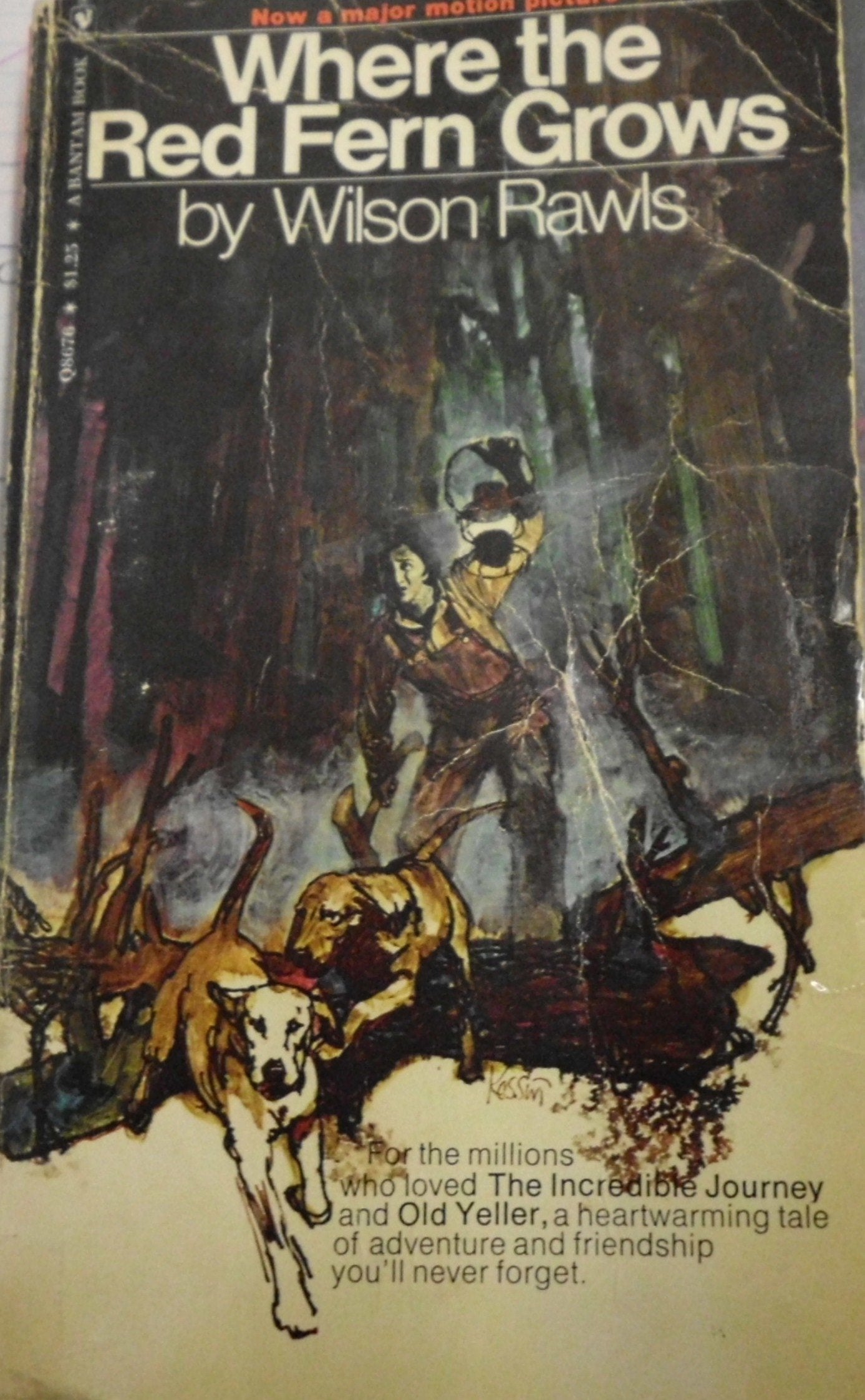 Where the red fern grows : the story of two dogs a Books