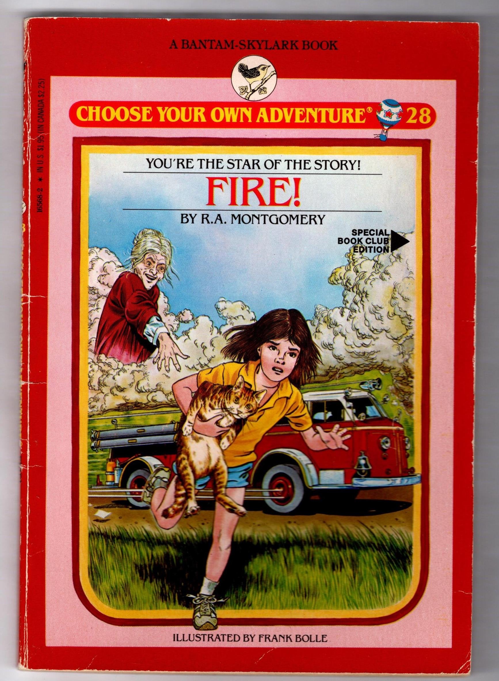 Fire! (Skylark Choose Your Own Adventure S.) Novels & Short Stories
