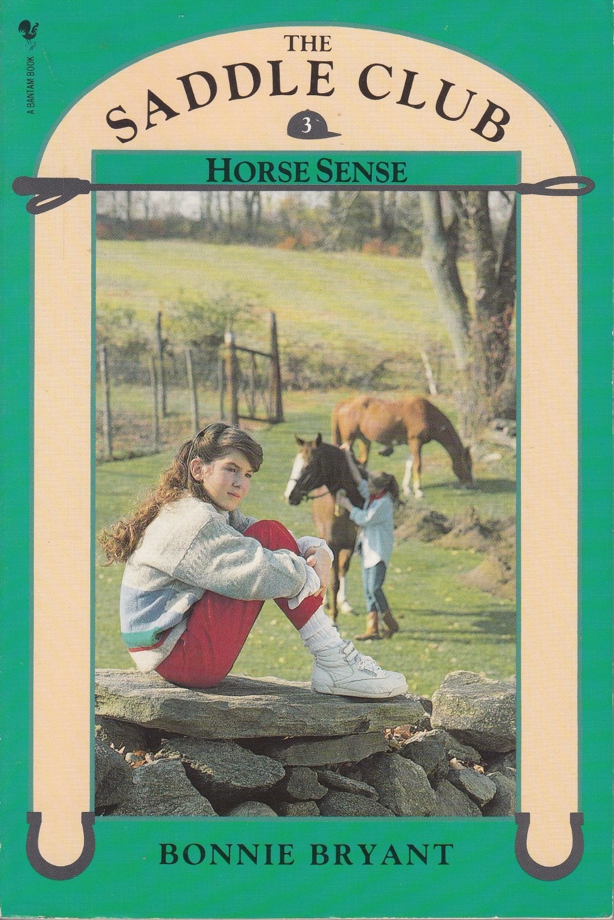 Saddle Club Book 3: Horse Sense book