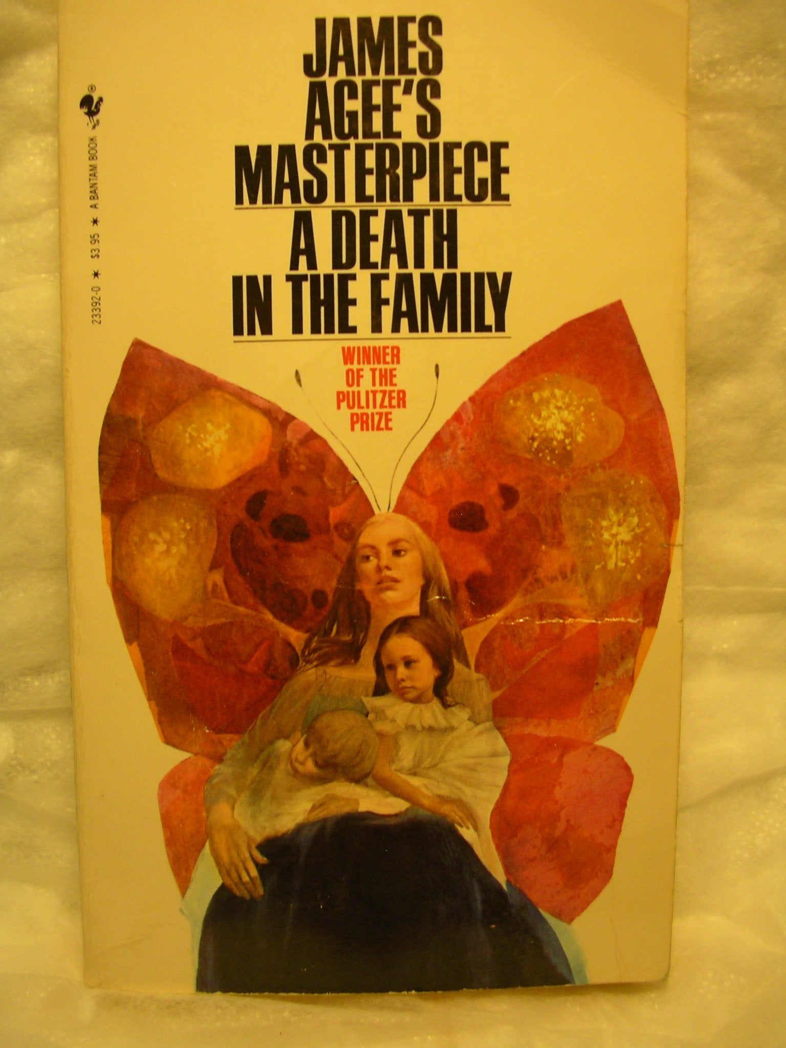 DEATH IN THE FAMILY, Books