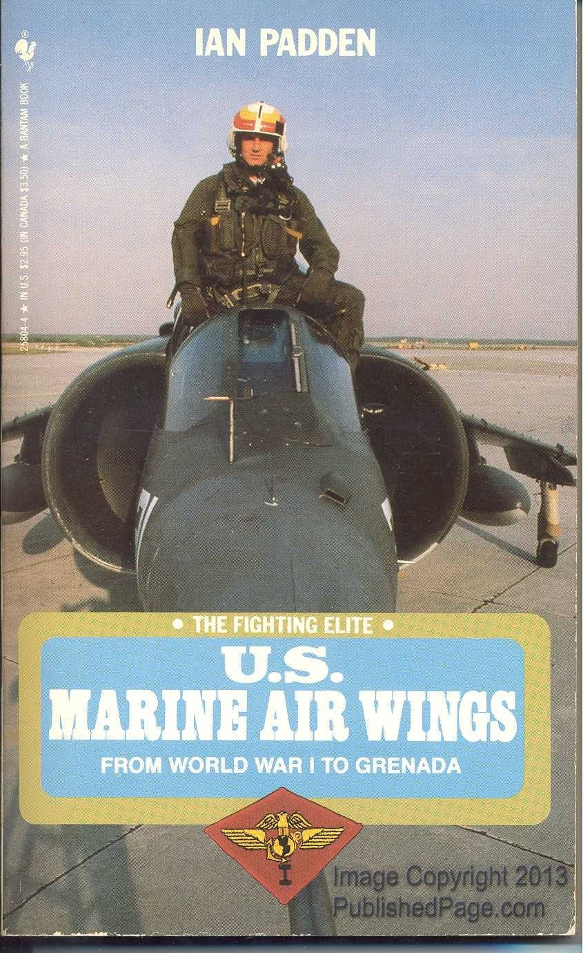 U.s. Marine Air Wings (The Fighting Elite) Books