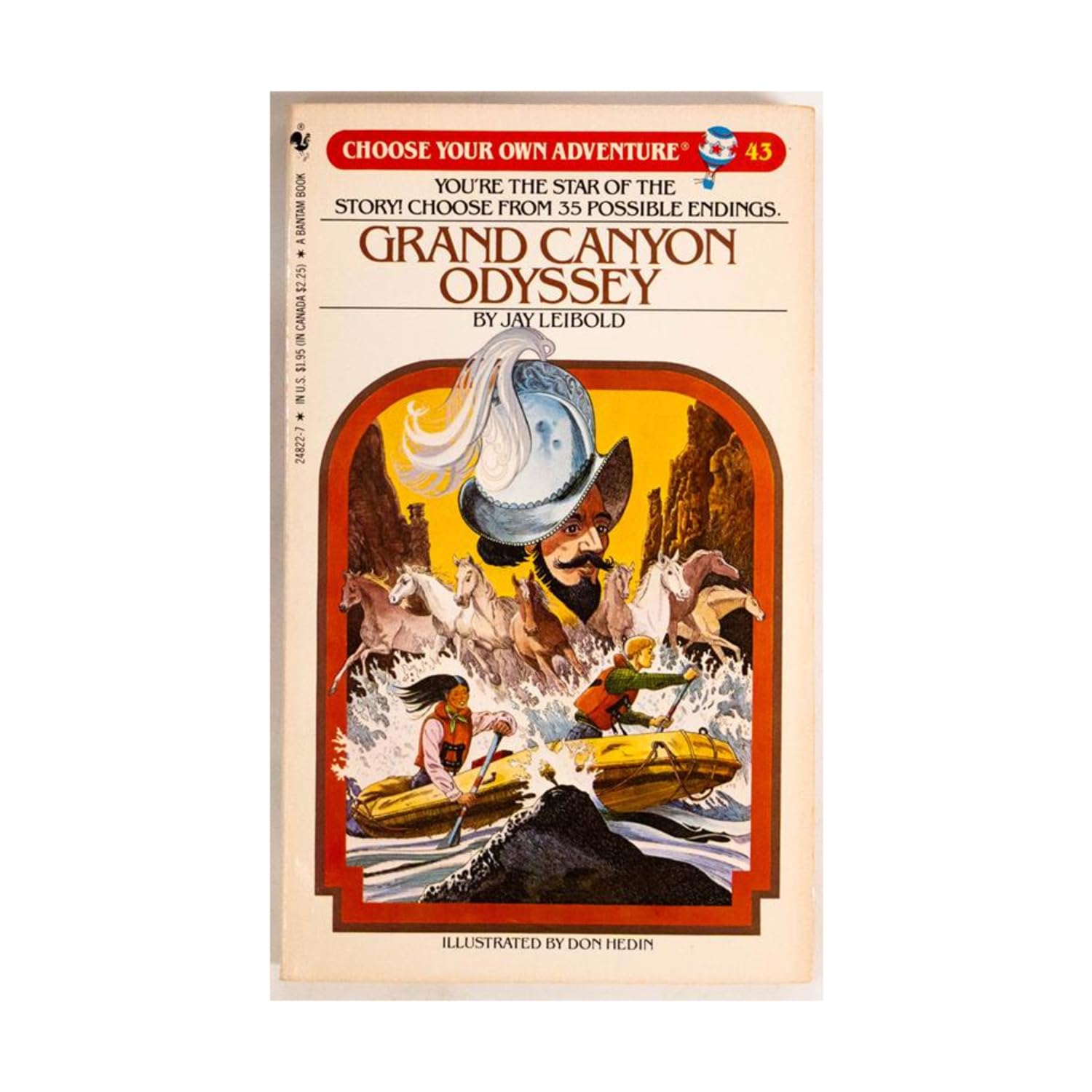 Grand Canyon Odyssey (Choose Your Own Adventure, Band 43) Books