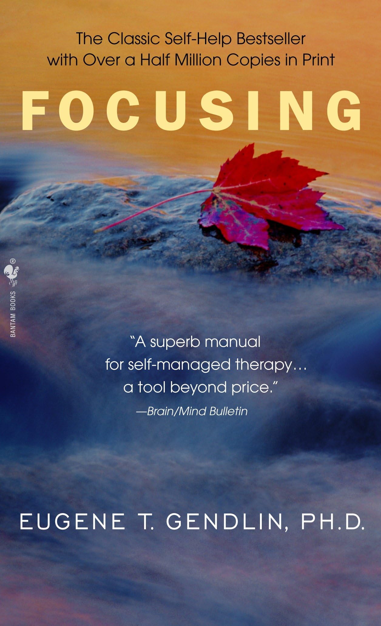 Focusing Business, Finance & Career