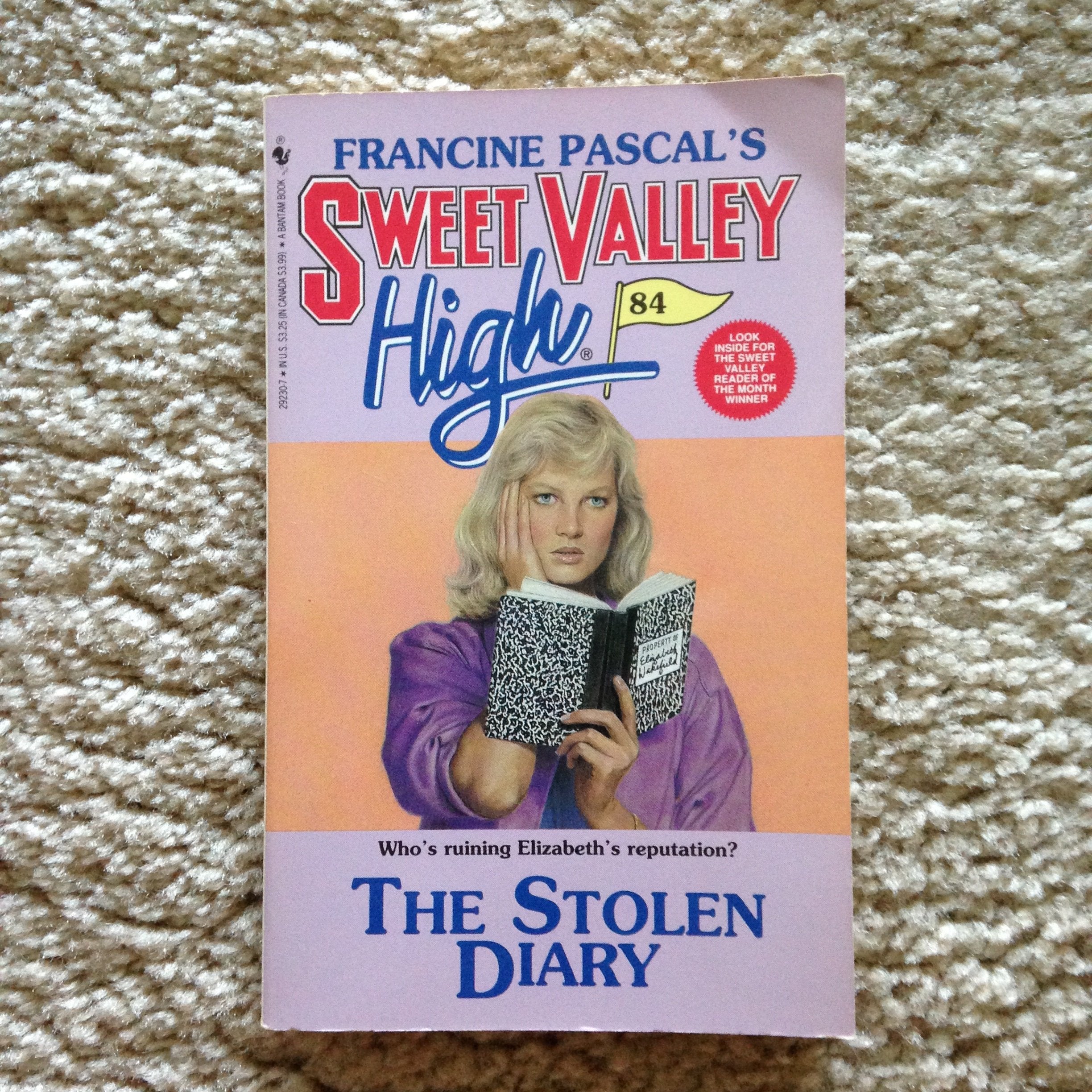 The Stolen Diary (Sweet Valley High, Band 84) Fiction
