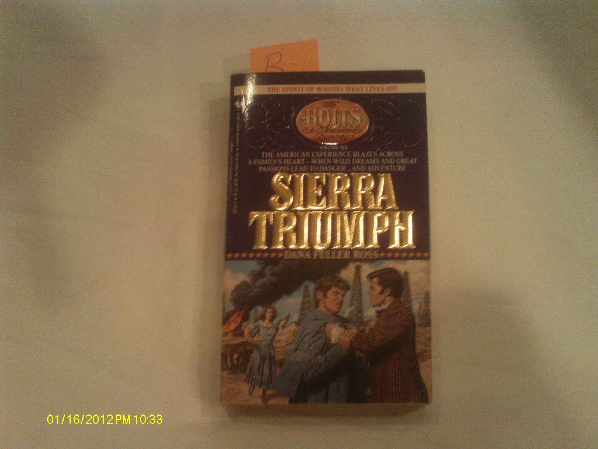Sierra Triumph (The Holts No. 6) Contemporary literature
