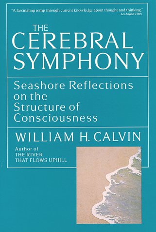 Cerebral Symphony: Seashore Reflections on the Structure of Consciousness Medicine