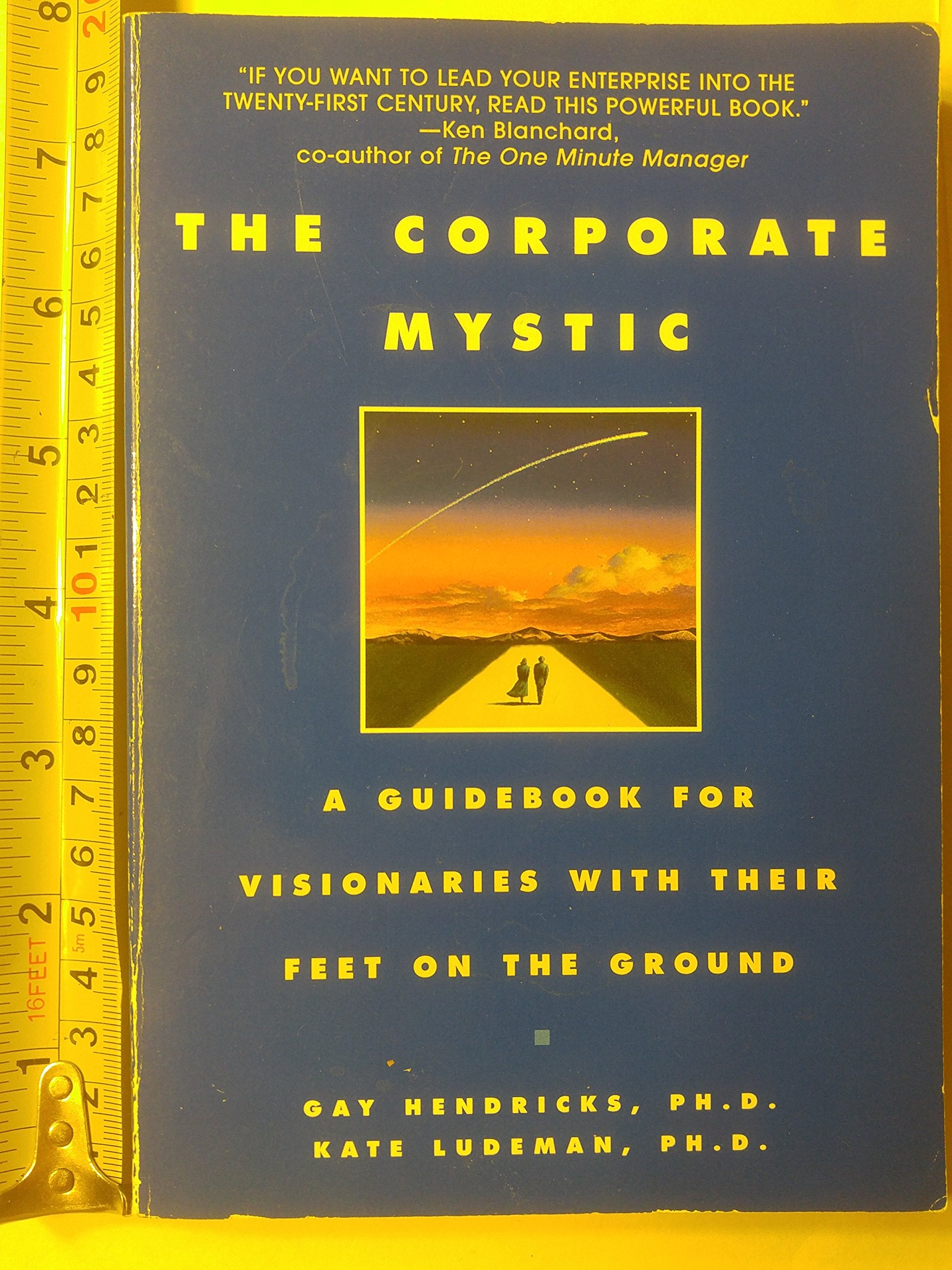 The Corporate Mystic: A Guidebook for Visionaries With Their Feet on the Ground Business, Finance & Career