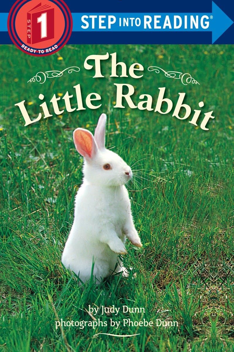 Product Image: The Little Rabbit (Step into Reading)