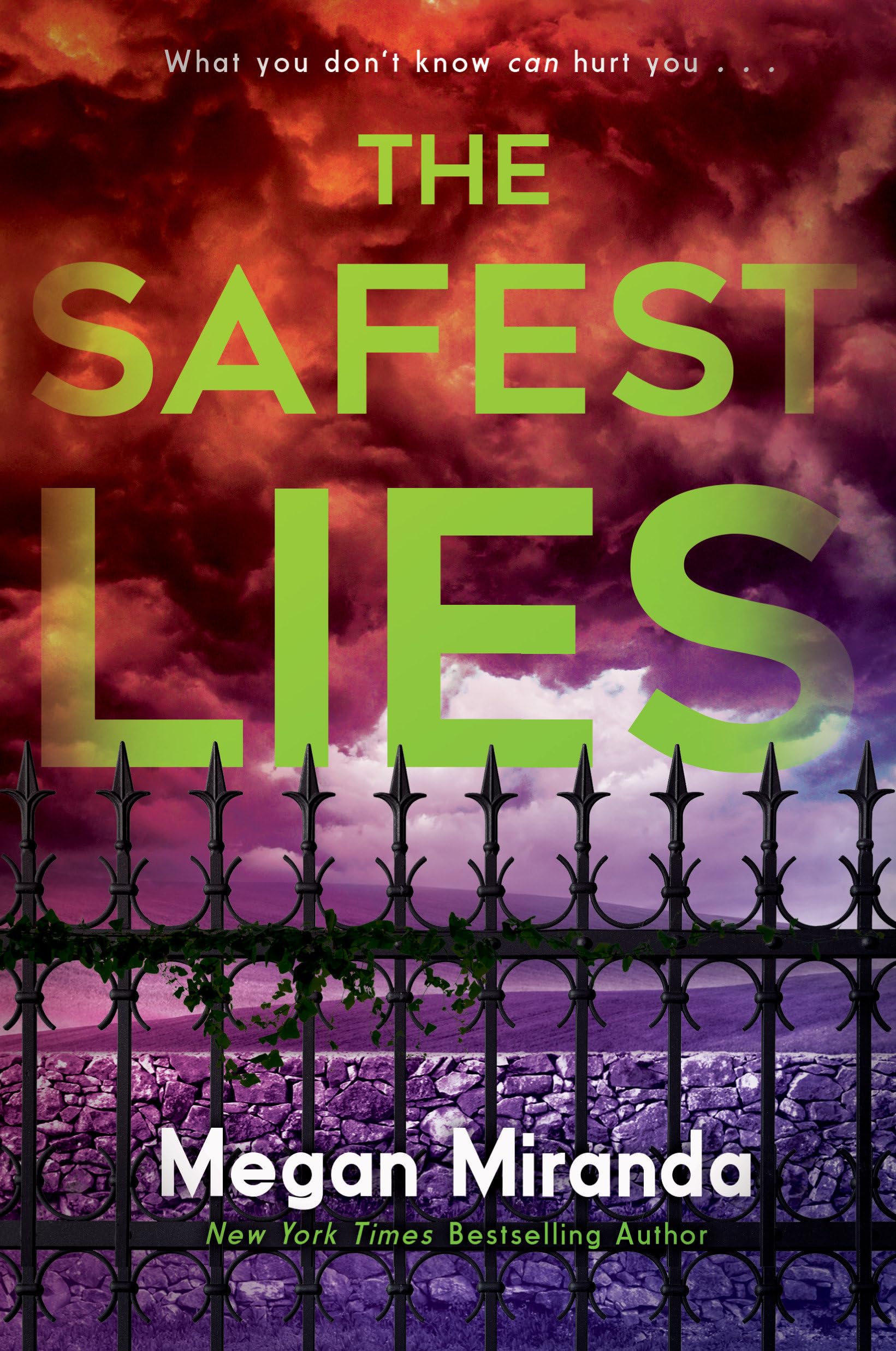The Safest Lies book