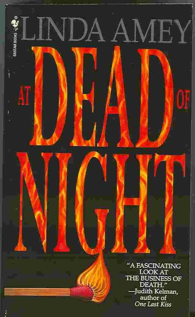 AT DEAD OF NIGHT (A Blair Emerson Mystery) Detective & CSI