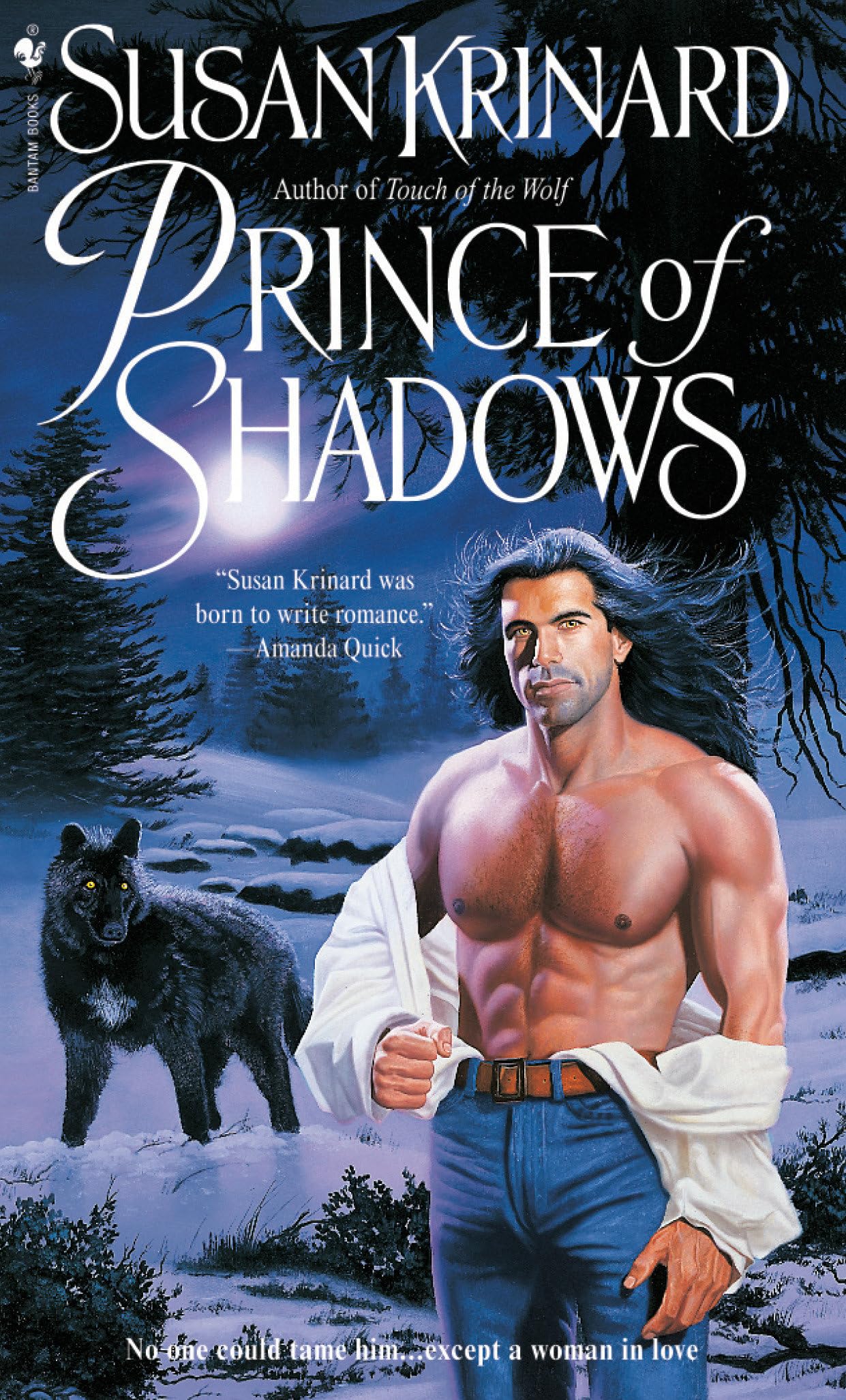 Prince of Shadows (Val Cache, Band 3) Romantic Thrillers