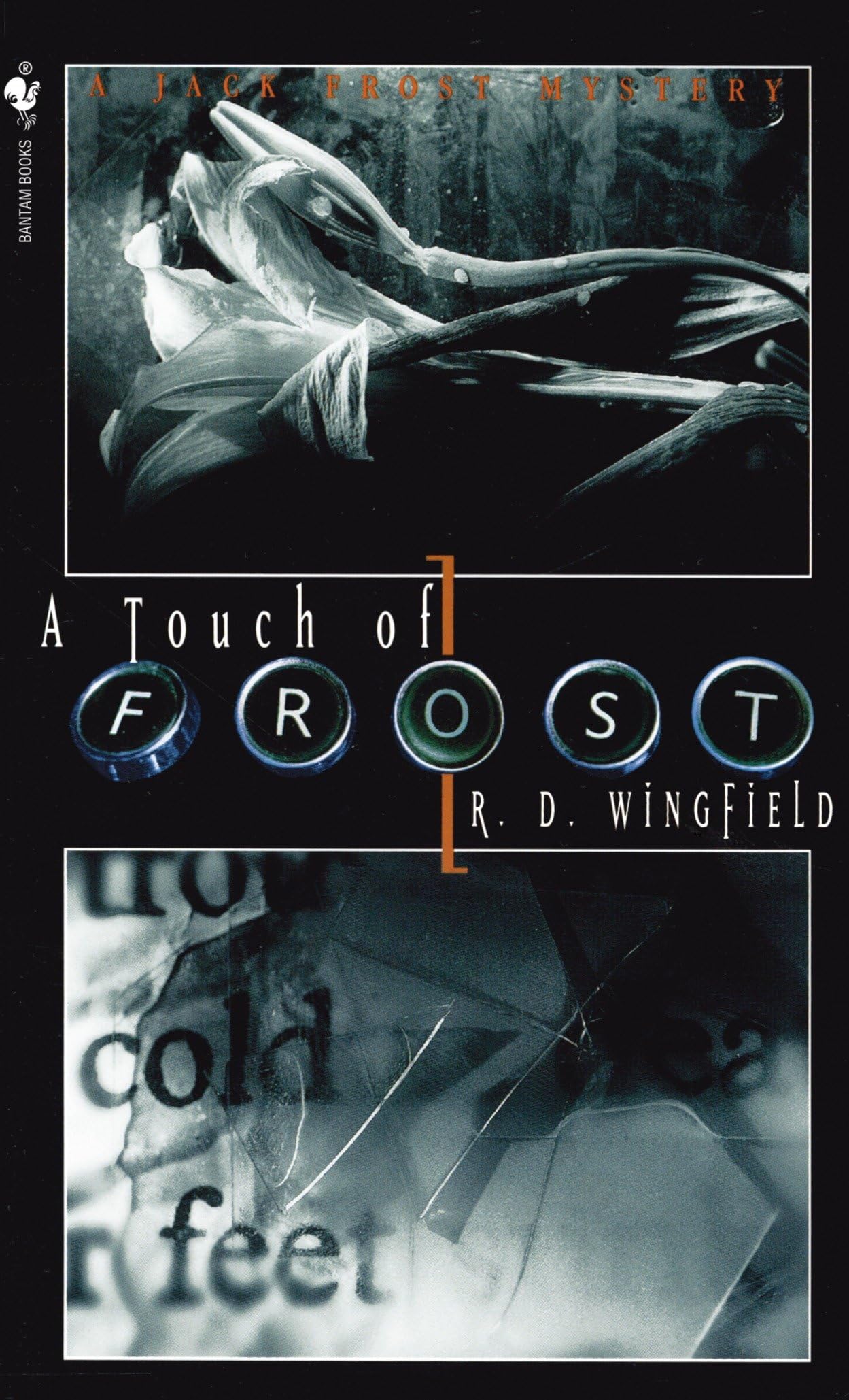A Touch of Frost (Jack Frost, Band 2) Contemporary literature