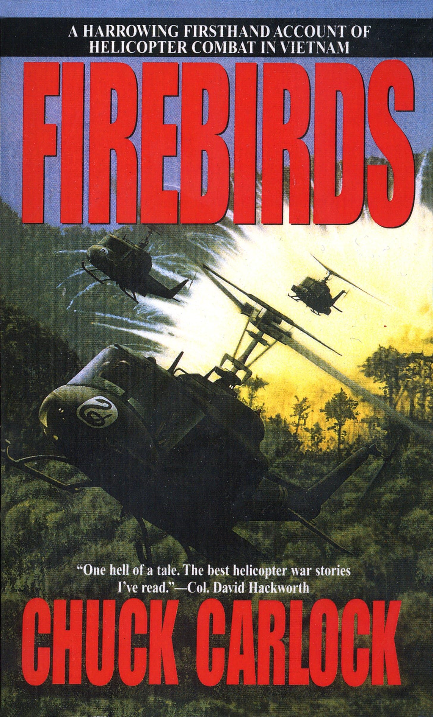 Firebirds: A Harrowing Firsthand Account of Helicopter Combat in Vietnam book