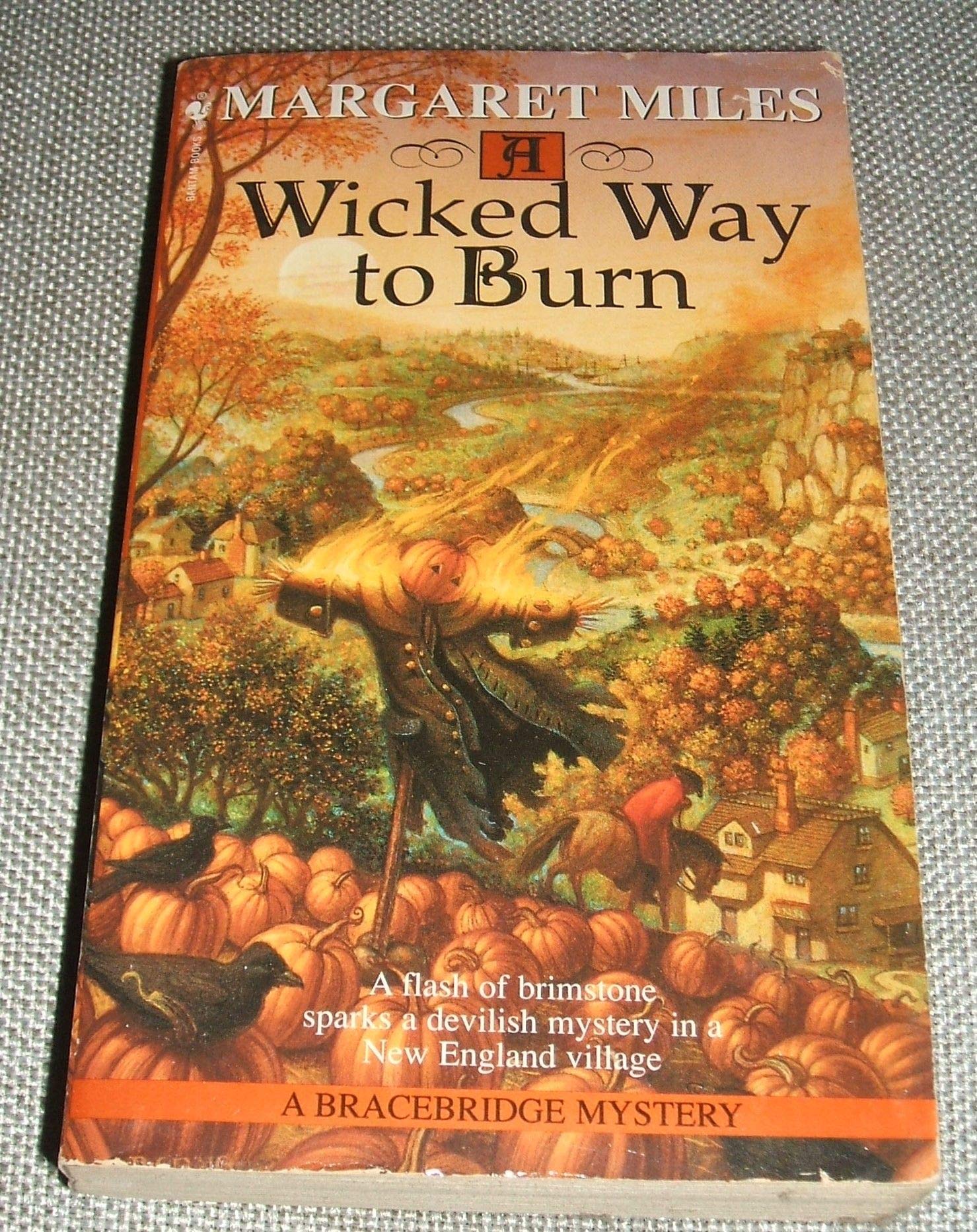 A Wicked Way to Burn (Bracebridge Mystery, Band 1) Historical Fiction