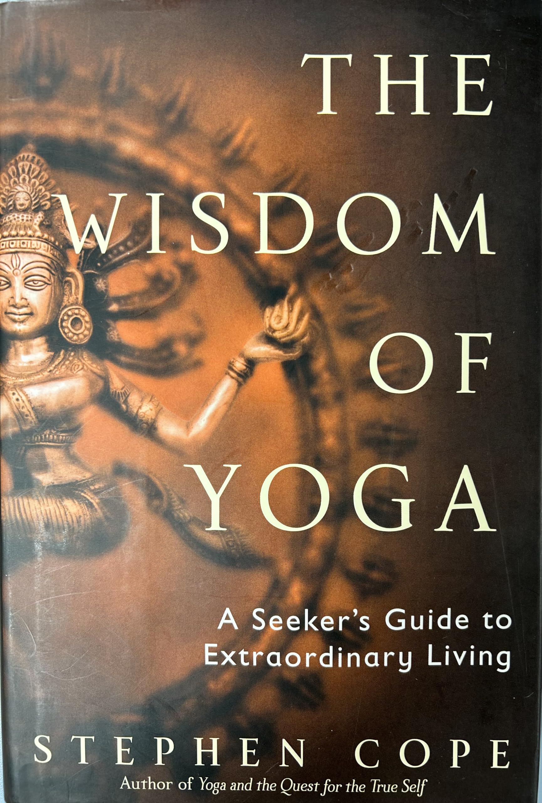 The Wisdom of Yoga: A Seeker's Guide to Extraordinary Living Philosophy