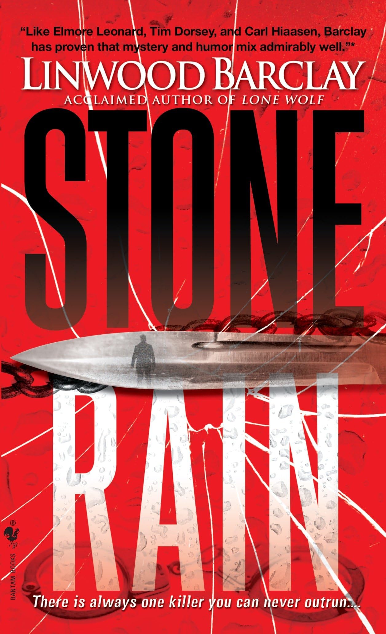 Stone Rain (Zack Walker, Band 4) Action & Adventure