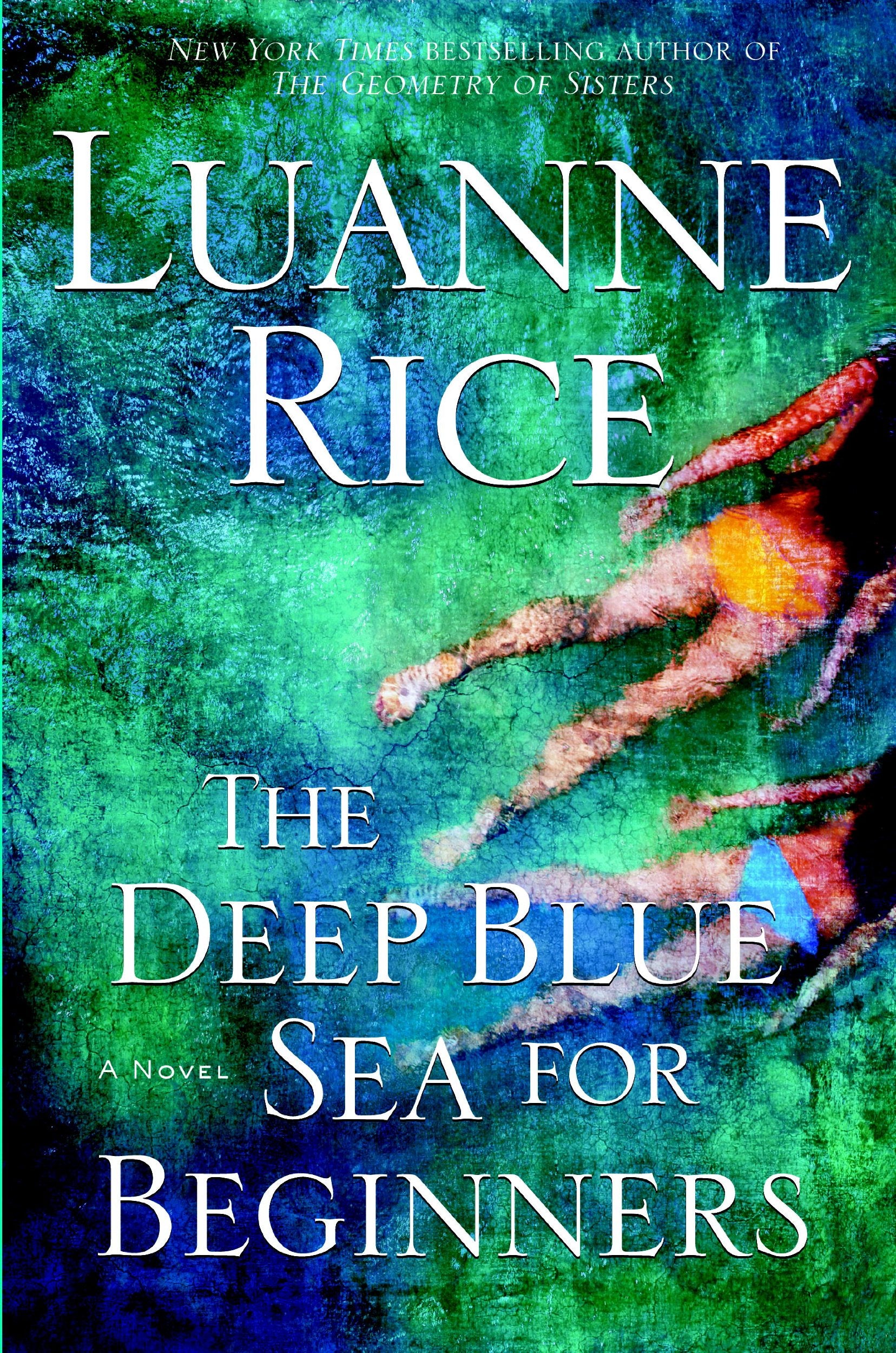 The Deep Blue Sea for Beginners: A Novel Contemporary literature