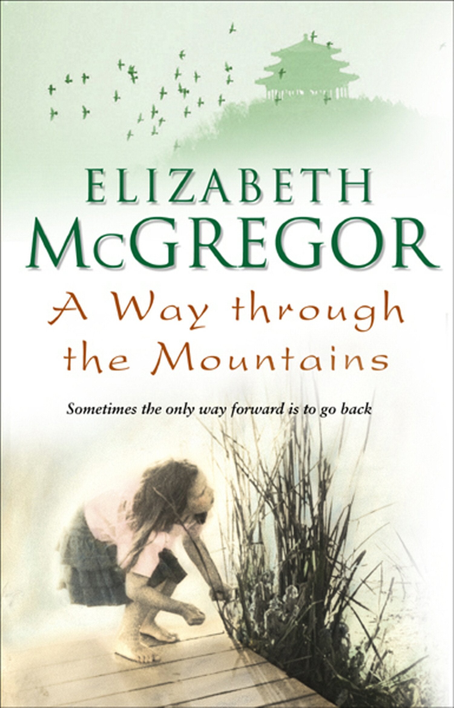A Way Through The Mountains Contemporary literature Books