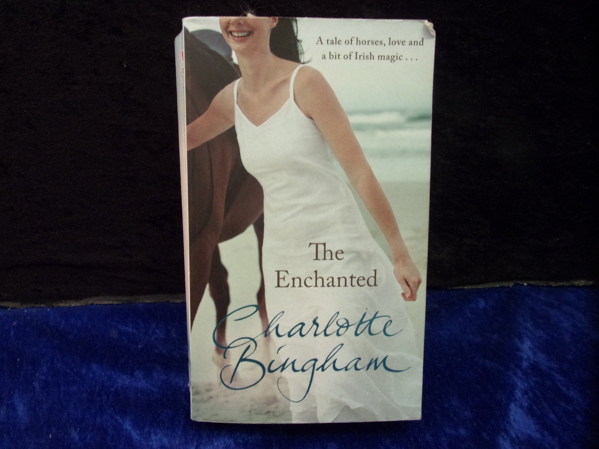 The Enchanted Contemporary literature Books