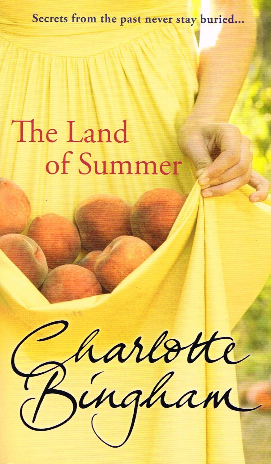The Land Of Summer Contemporary literature