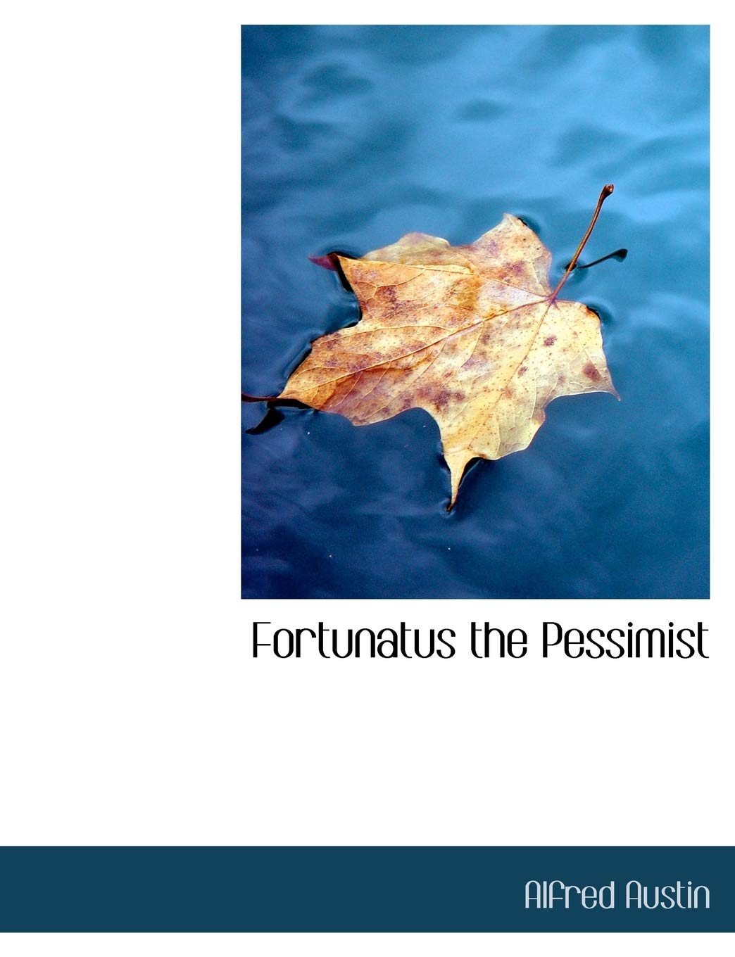 Fortunatus the Pessimist Politics & History