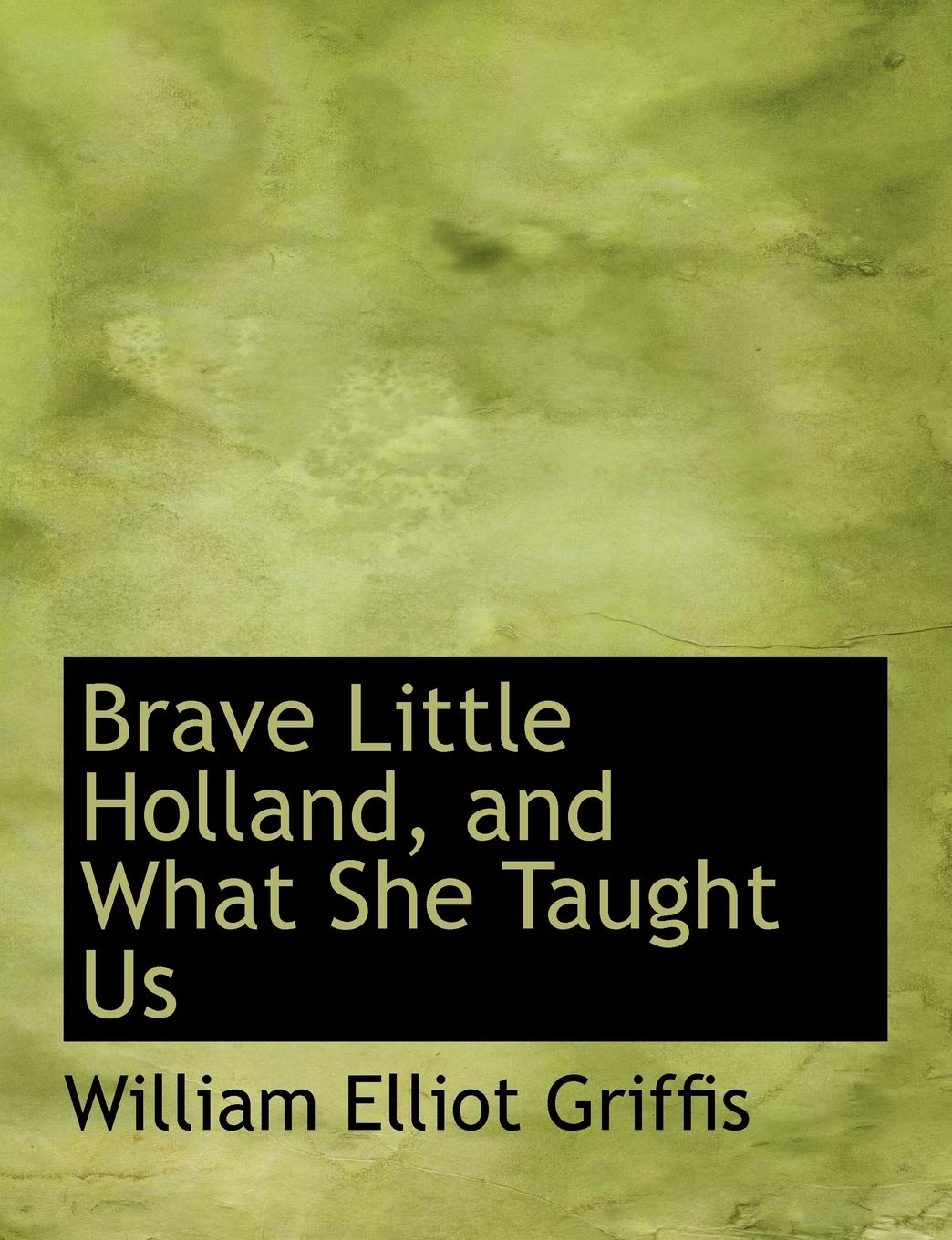 Brave Little Holland, and What She Taught Us Politics & History