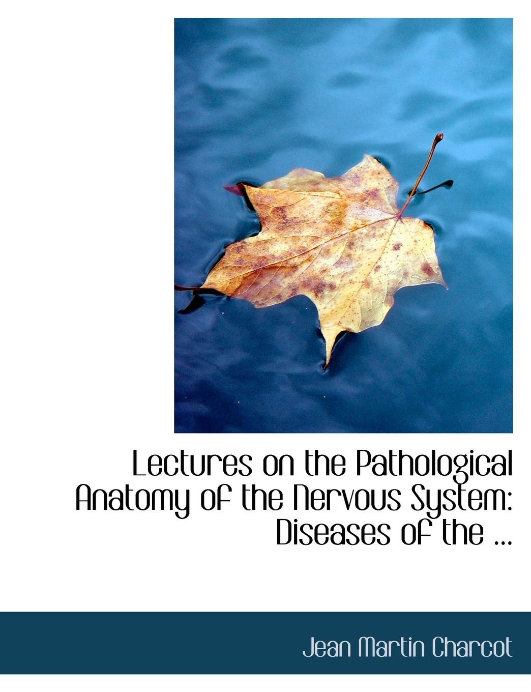 Lectures on the Pathological Anatomy of the Nervous System: Diseases of the Spinal Cord: Diseases of the ... (Large Print Edition) Politics & History