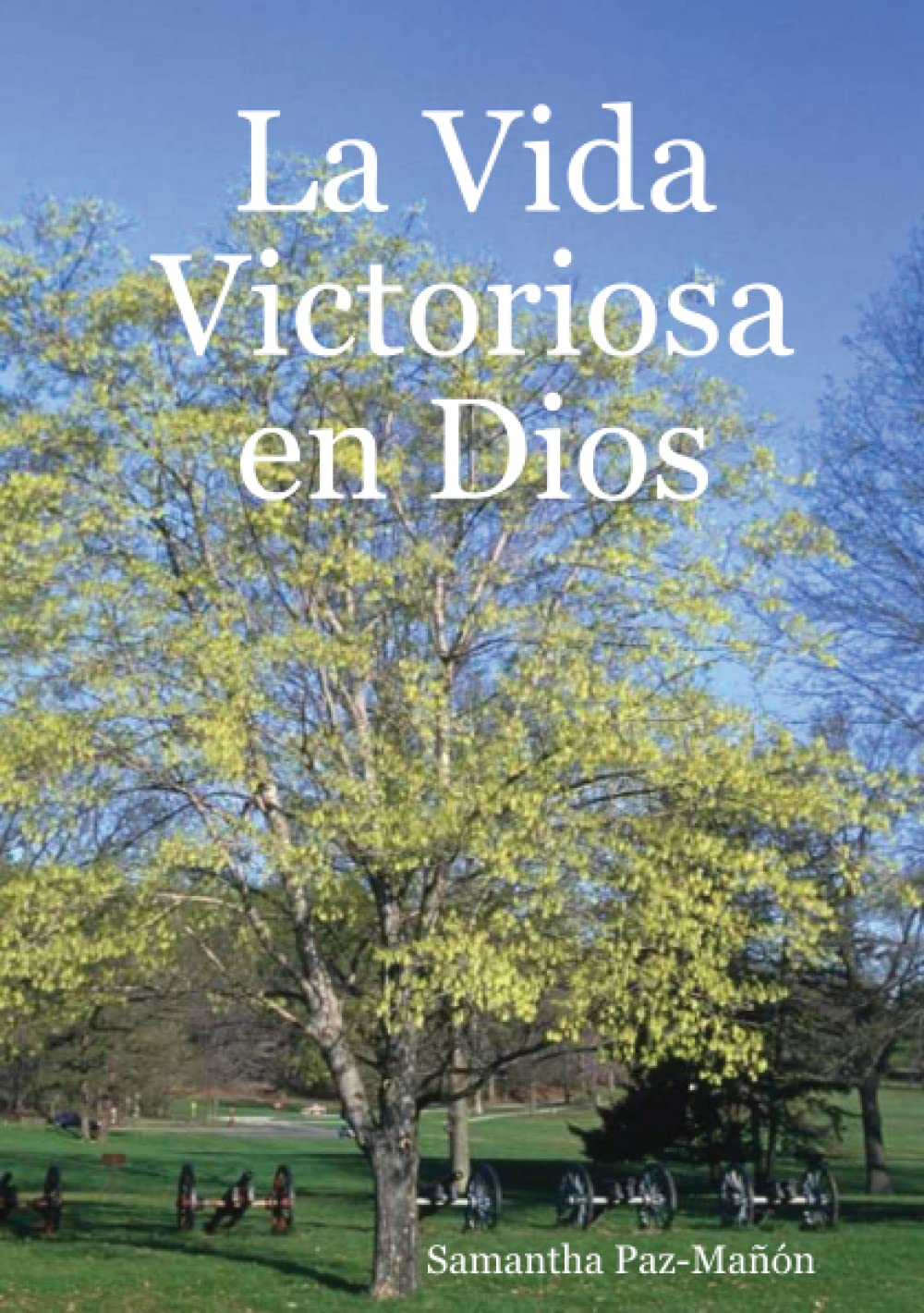 La Vida Victoriosa en Dios Leisure, Home & Garden