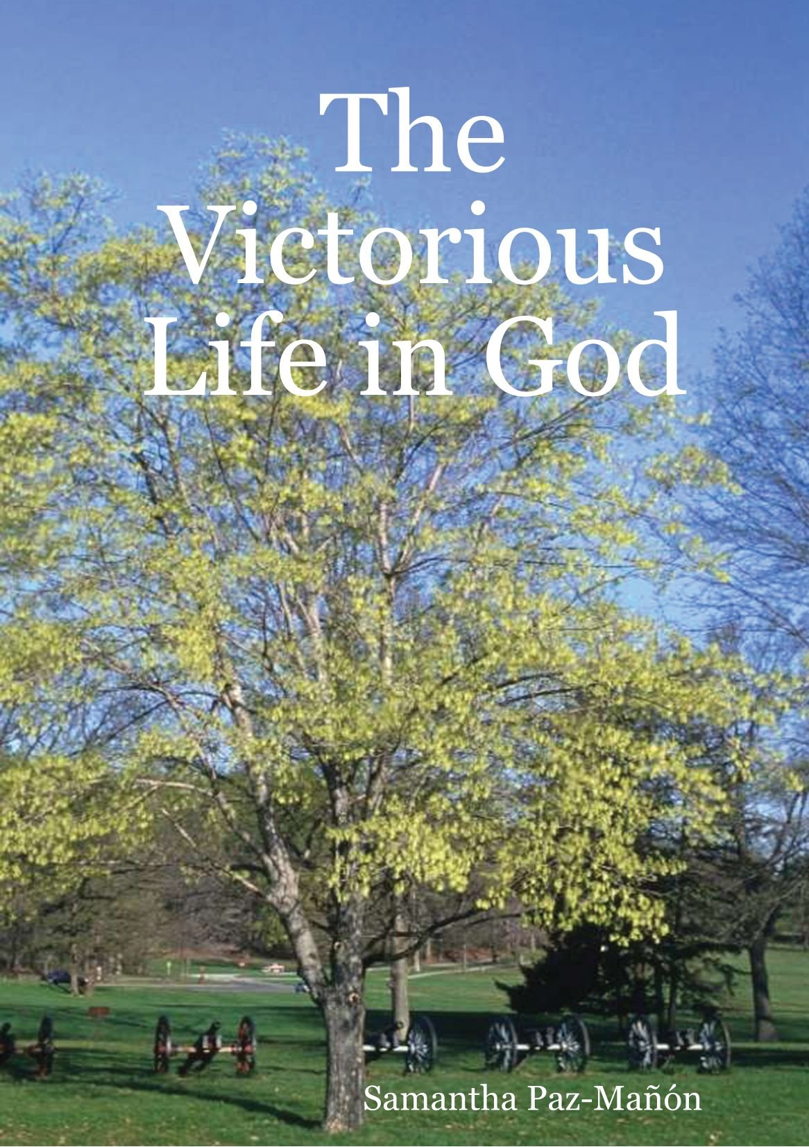 The Victorious Life in God Religion & Esotericism