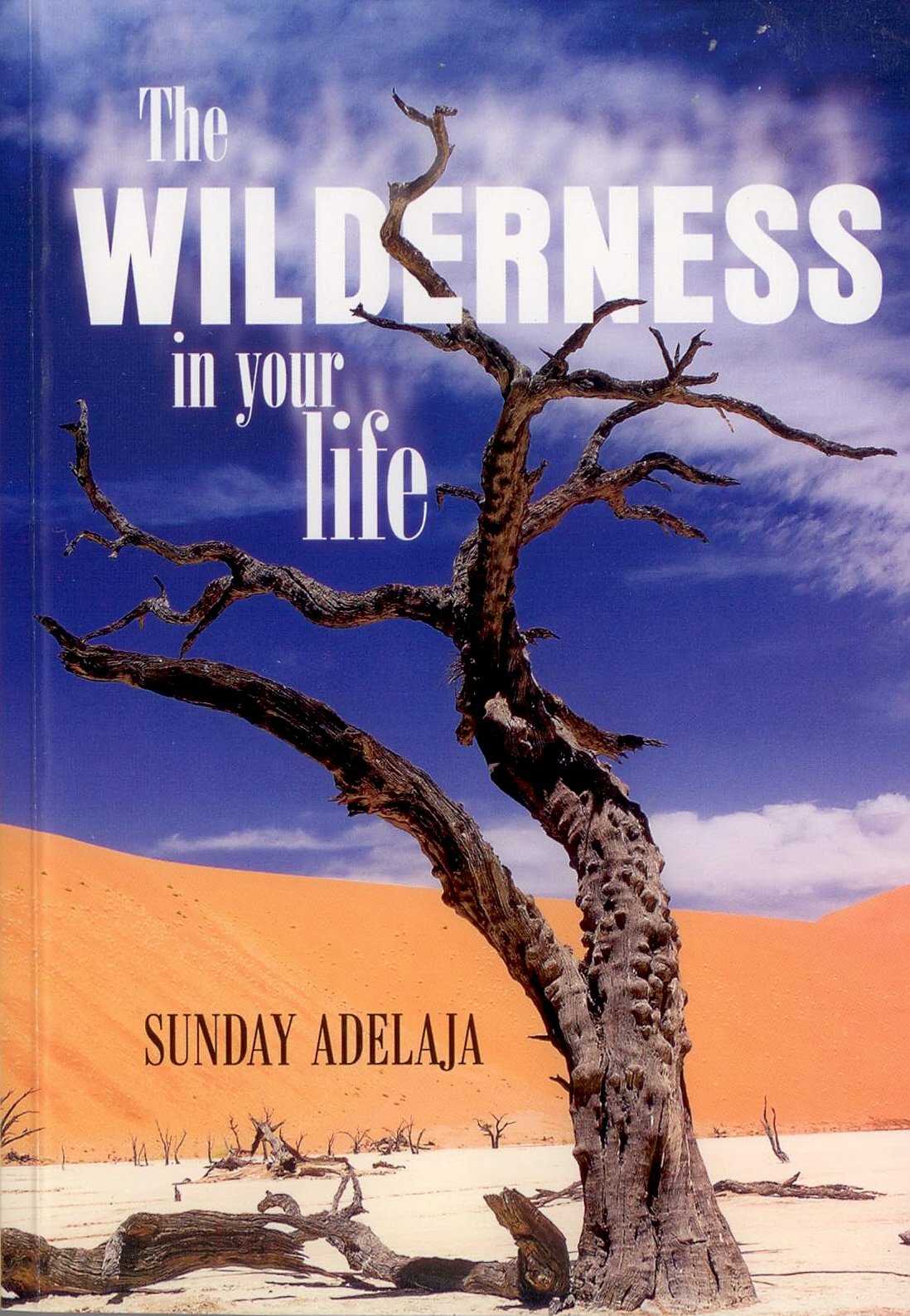 Out Of The Wilderness Into Your Blessings: The Three Stages Of Life Books