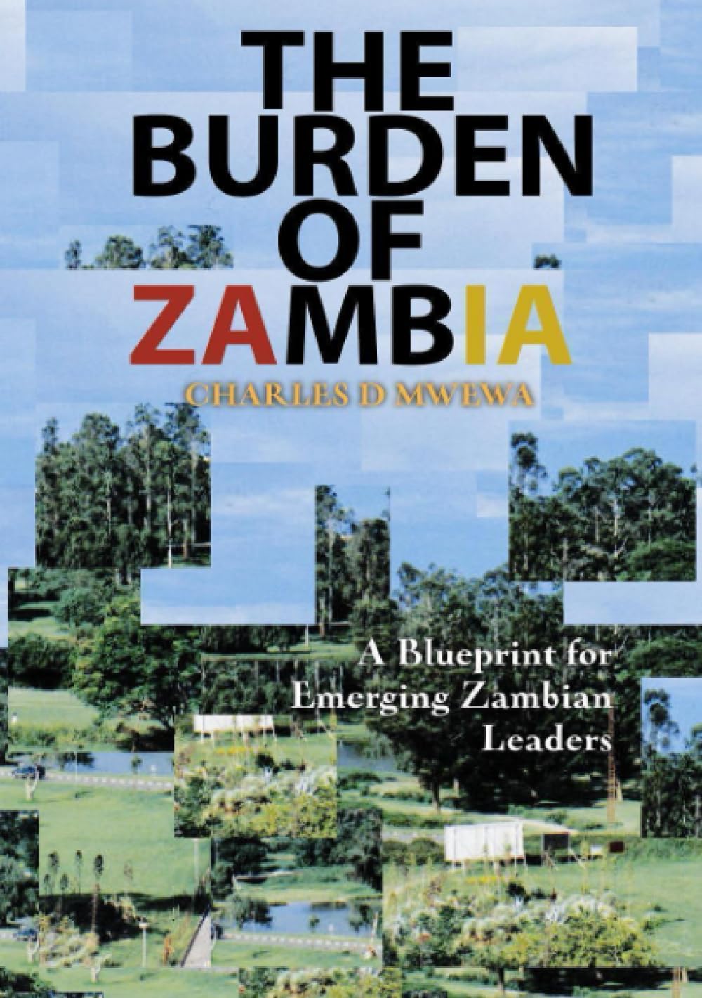 THE BURDEN OF ZAMBIA Reference Books
