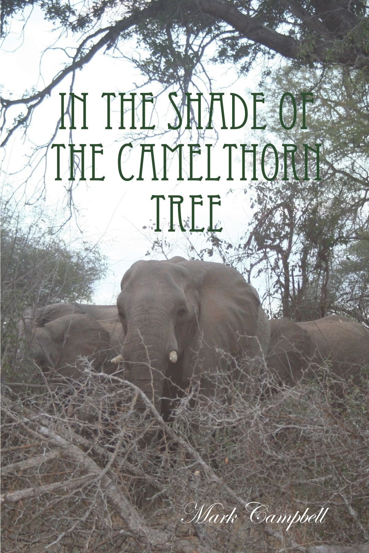In The Shade Of The Camelthorn Tree Books