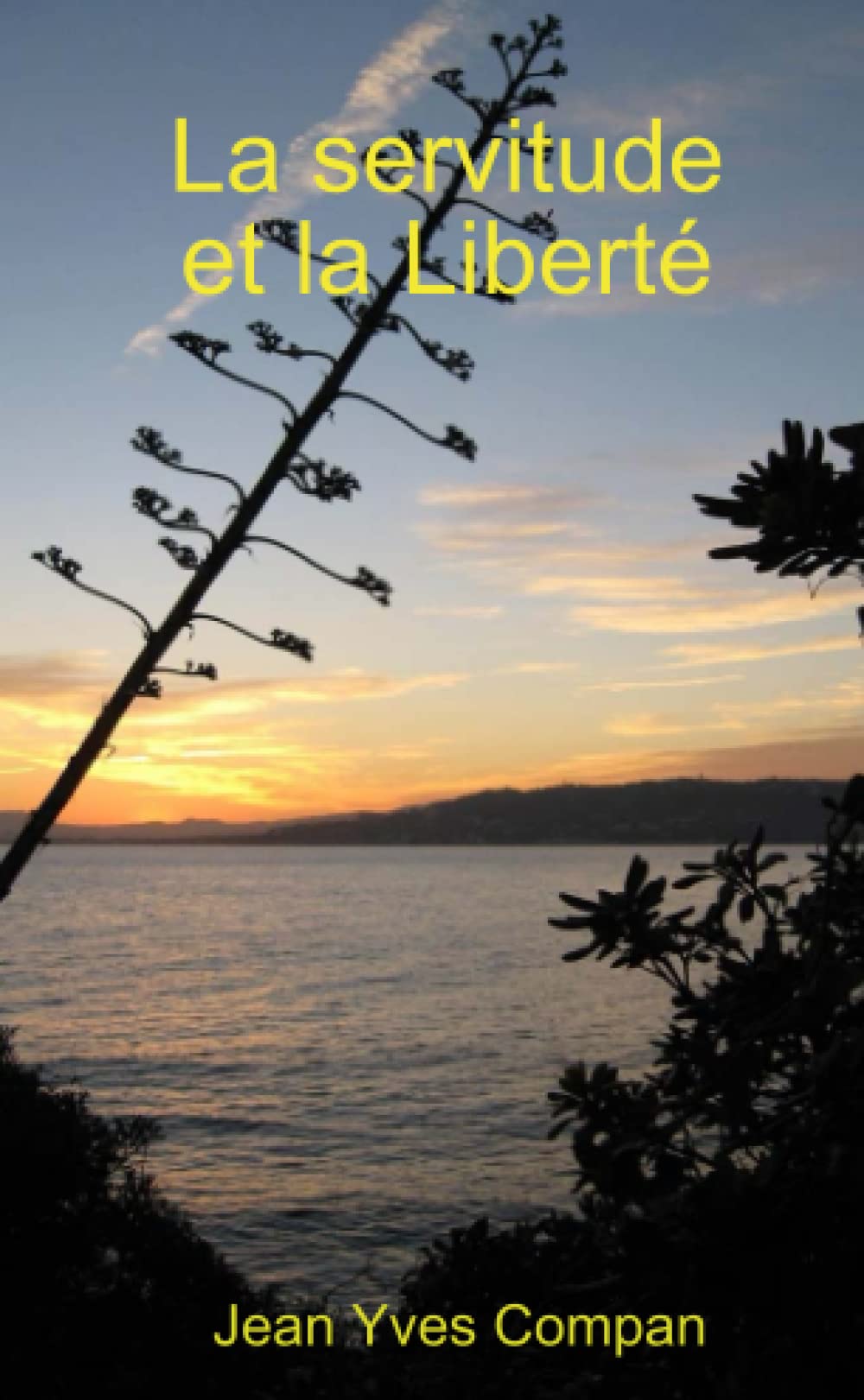 La servitude et la Liberté book