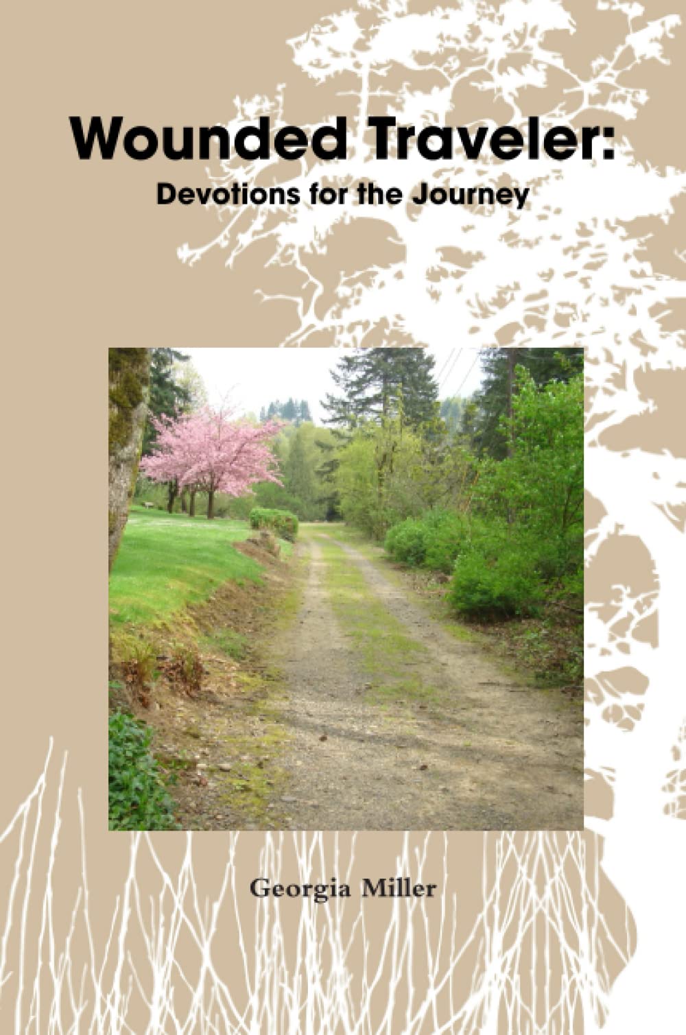 Wounded Traveler: Devotions for the Journey Eroticism