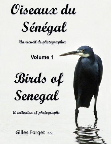 Oiseaux du Sénégal / Birds of Senegal Film, Art & Culture